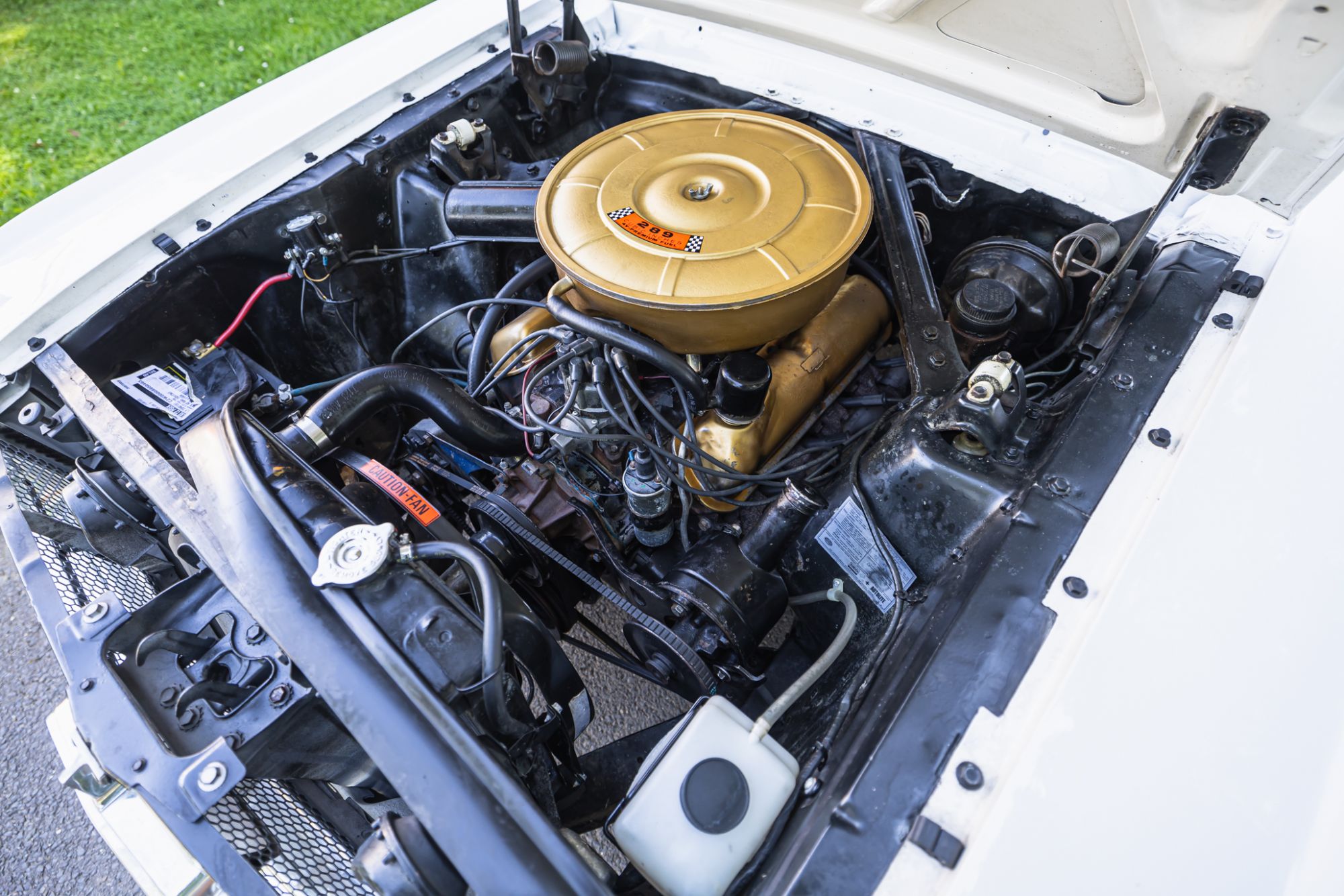 Ford Mustang _36.JPG