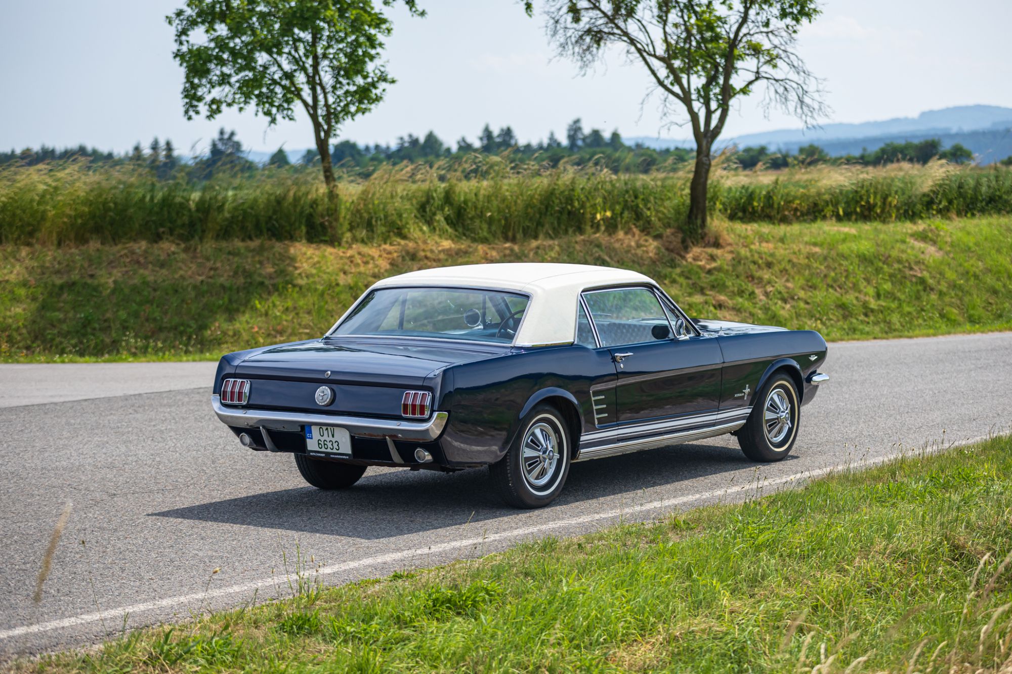 Ford Mustang Low_25.JPG