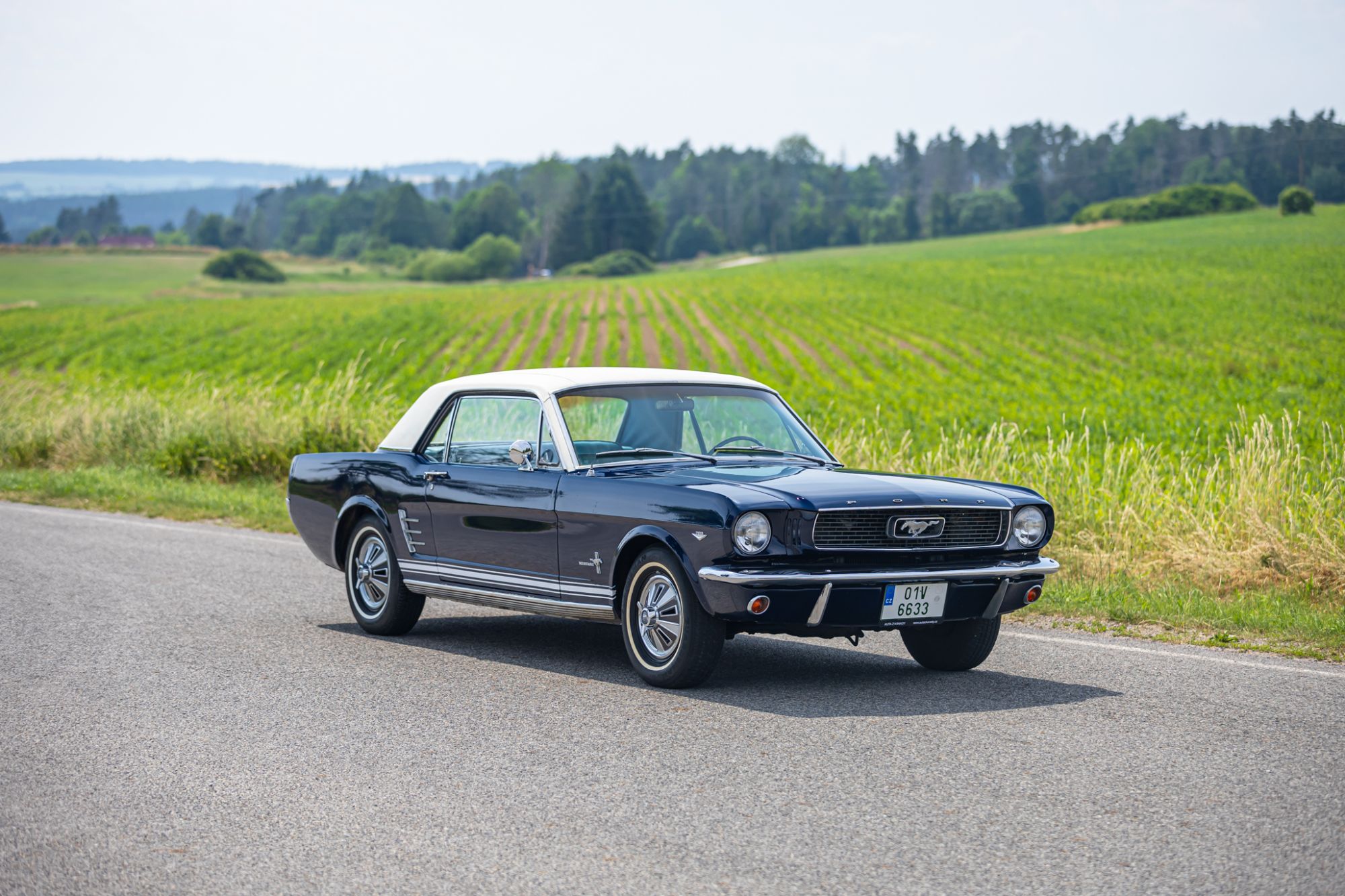 Ford Mustang Low_32.JPG