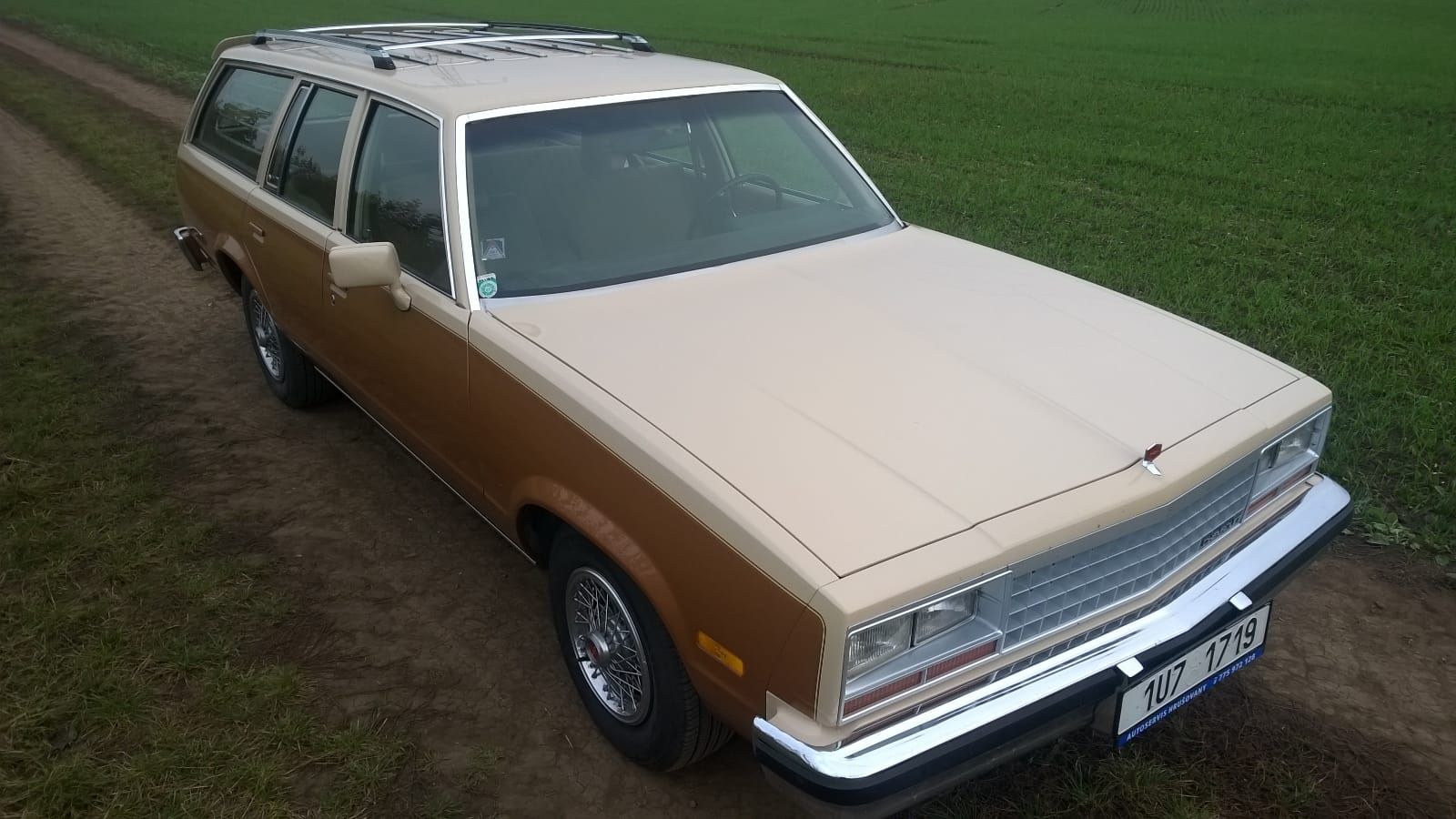 IMG-20171019-WA0009 - kopie