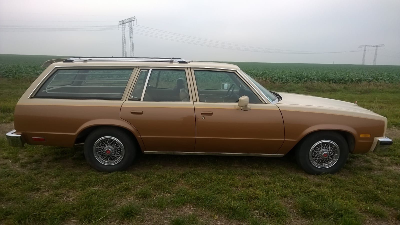 IMG-20171019-WA0011 - kopie