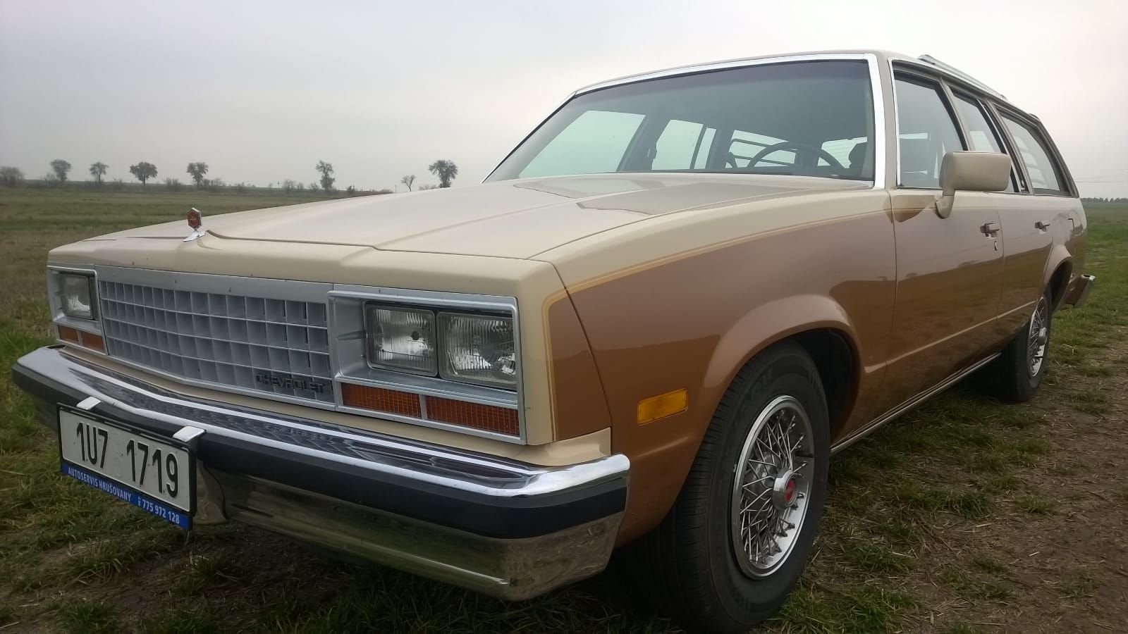 IMG-20171019-WA0012 - kopie