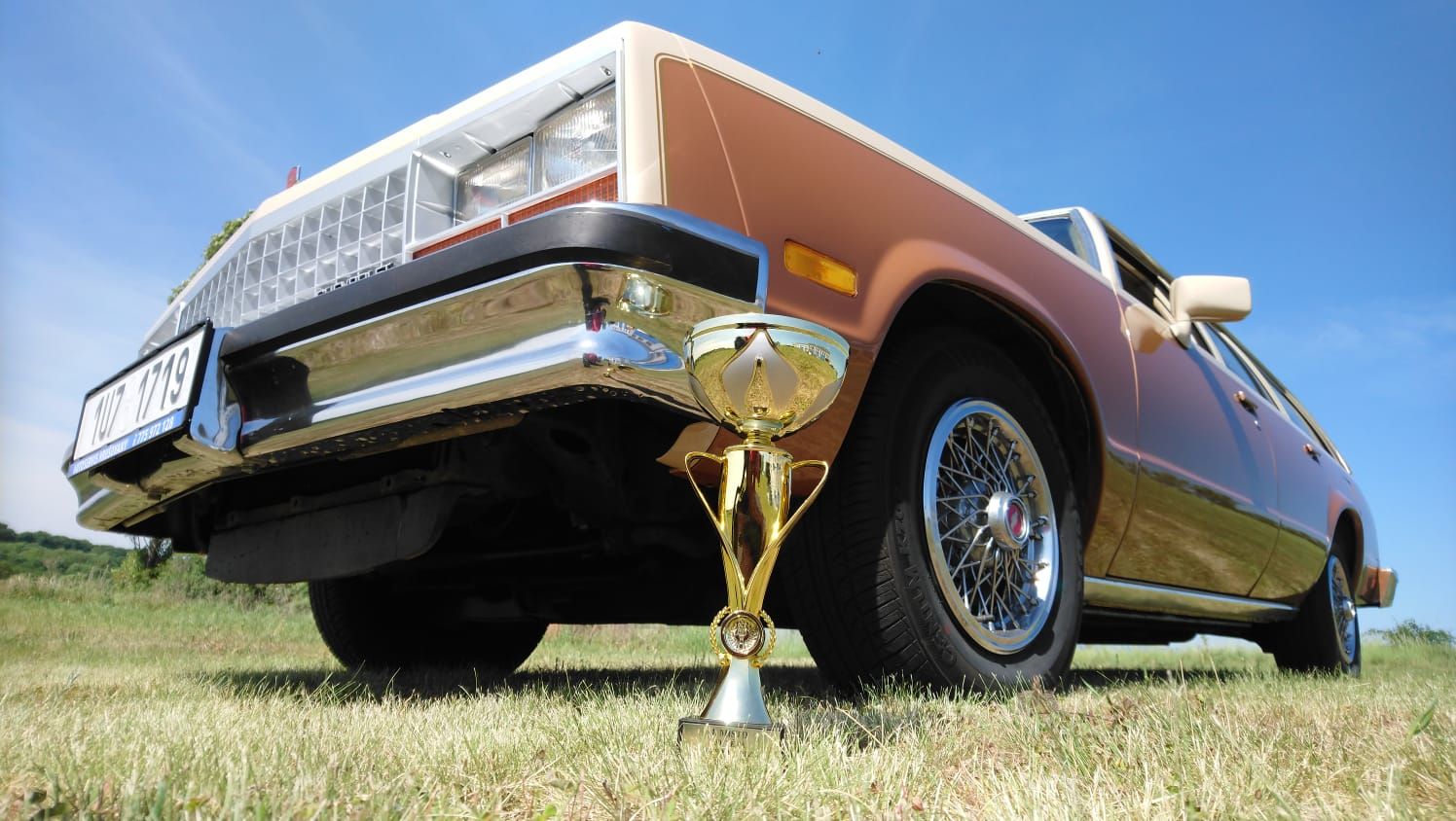 IMG-20180520-WA0007 - kopie