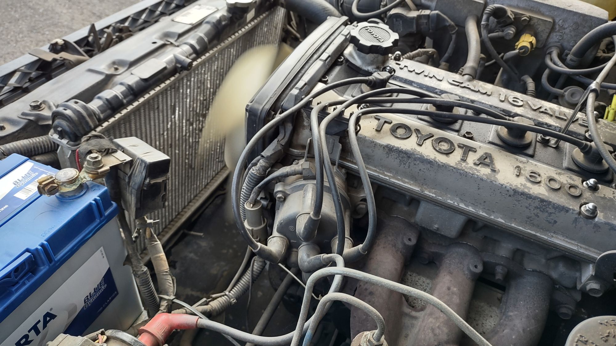 IMG_20210622_161439192_HDR