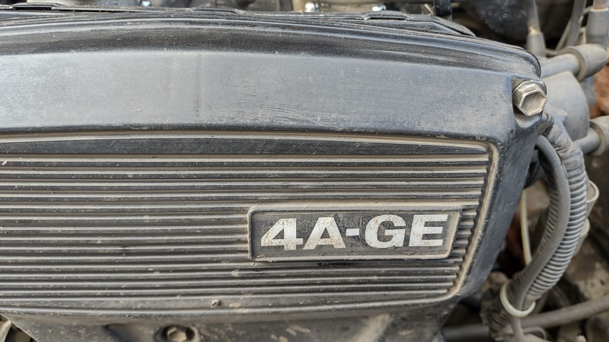 IMG_20210622_161503871_HDR