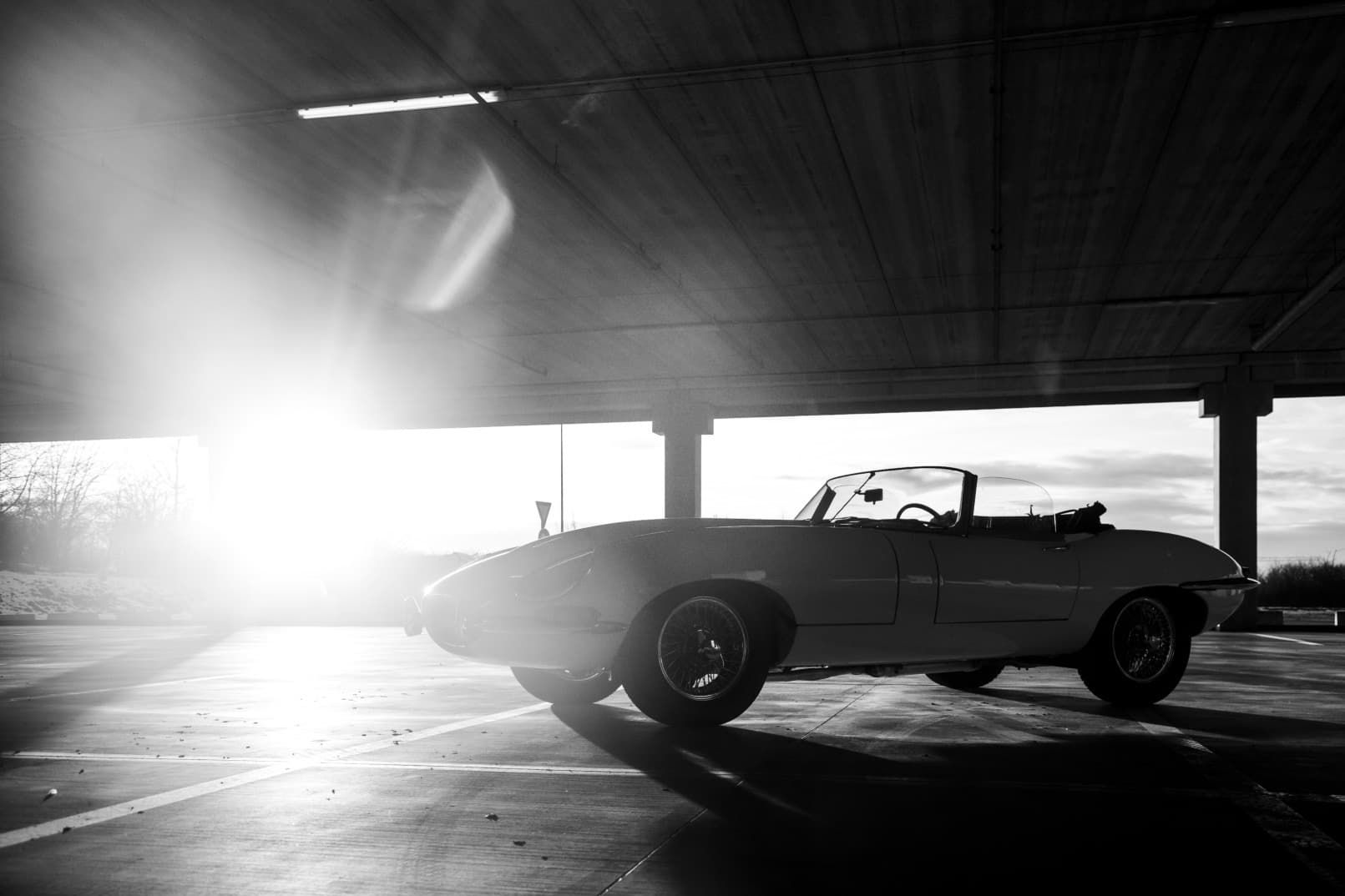 Jaguar E-type convertible bila _66