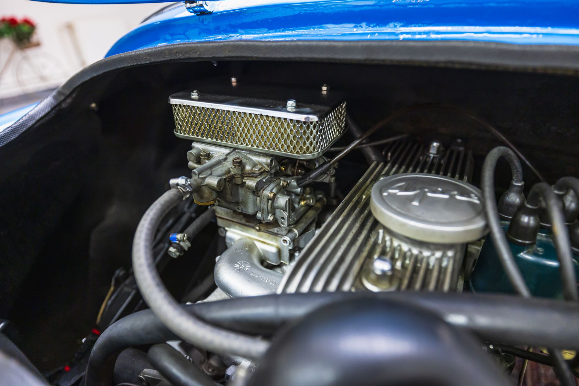 low Alpine A110_9.JPG