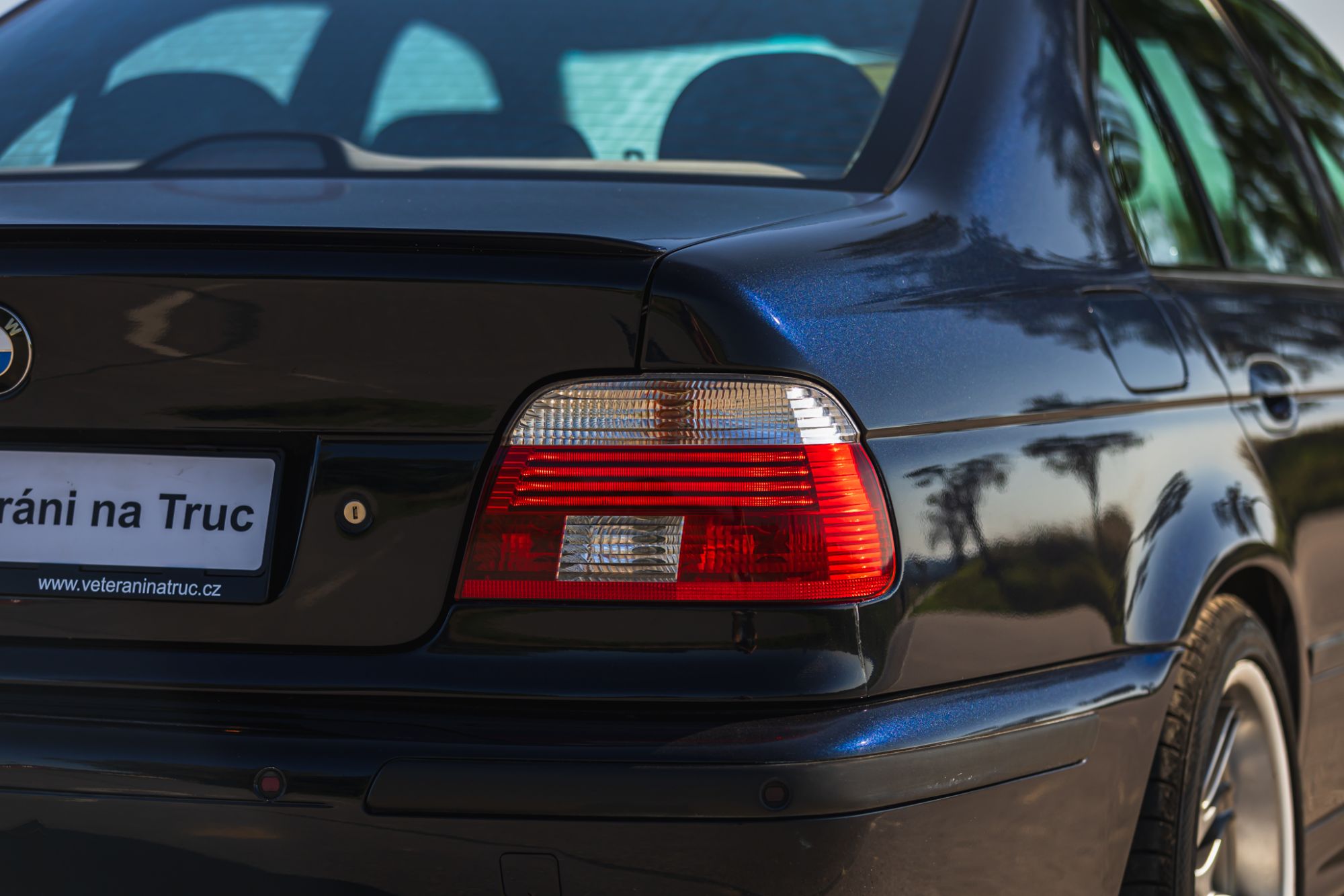 low_BMW M5 E39_13.JPG