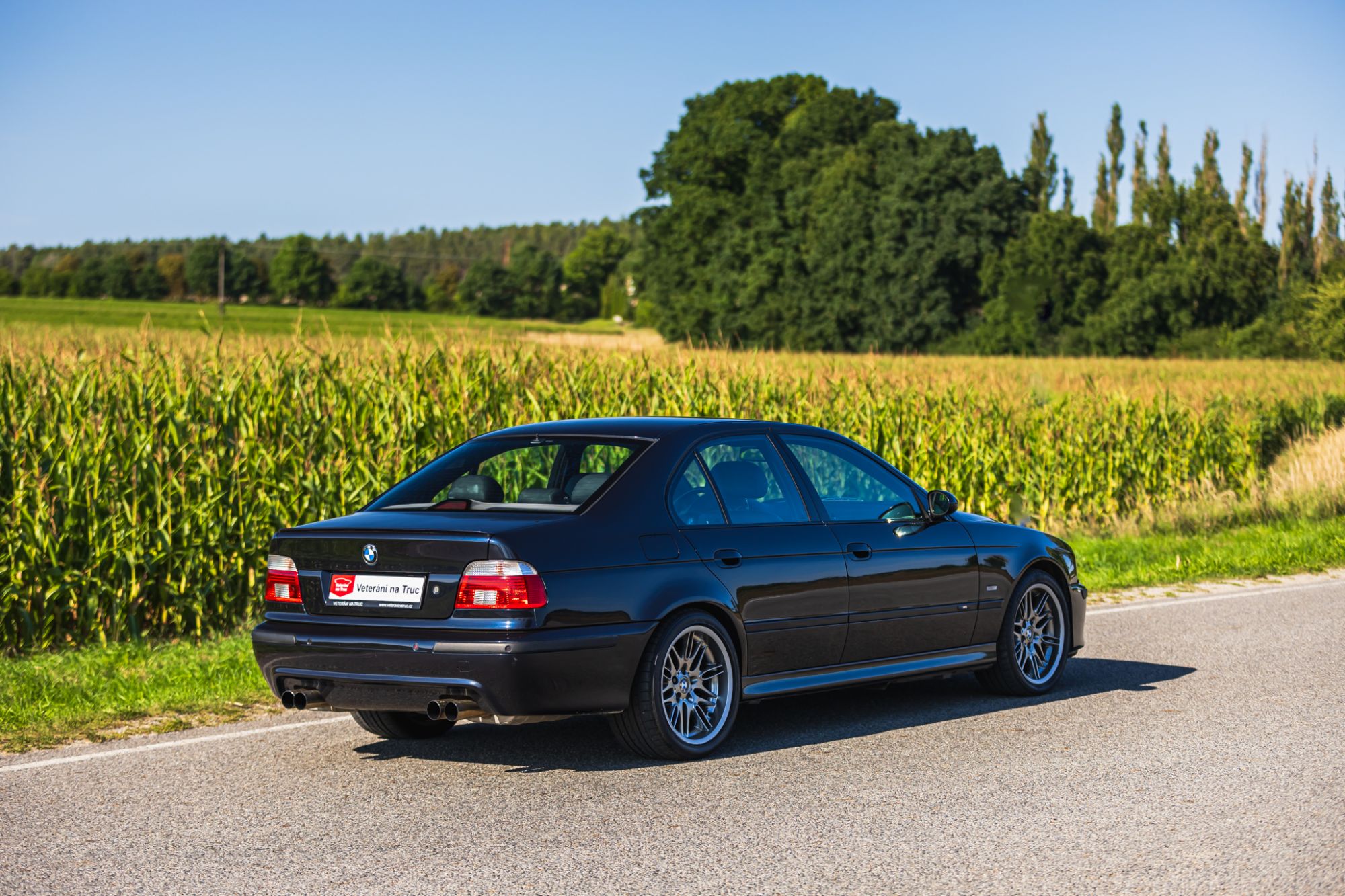 low_BMW M5 E39_18.JPG