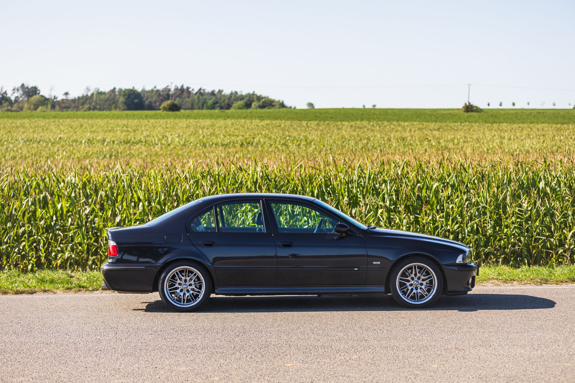 low_BMW M5 E39_20.JPG
