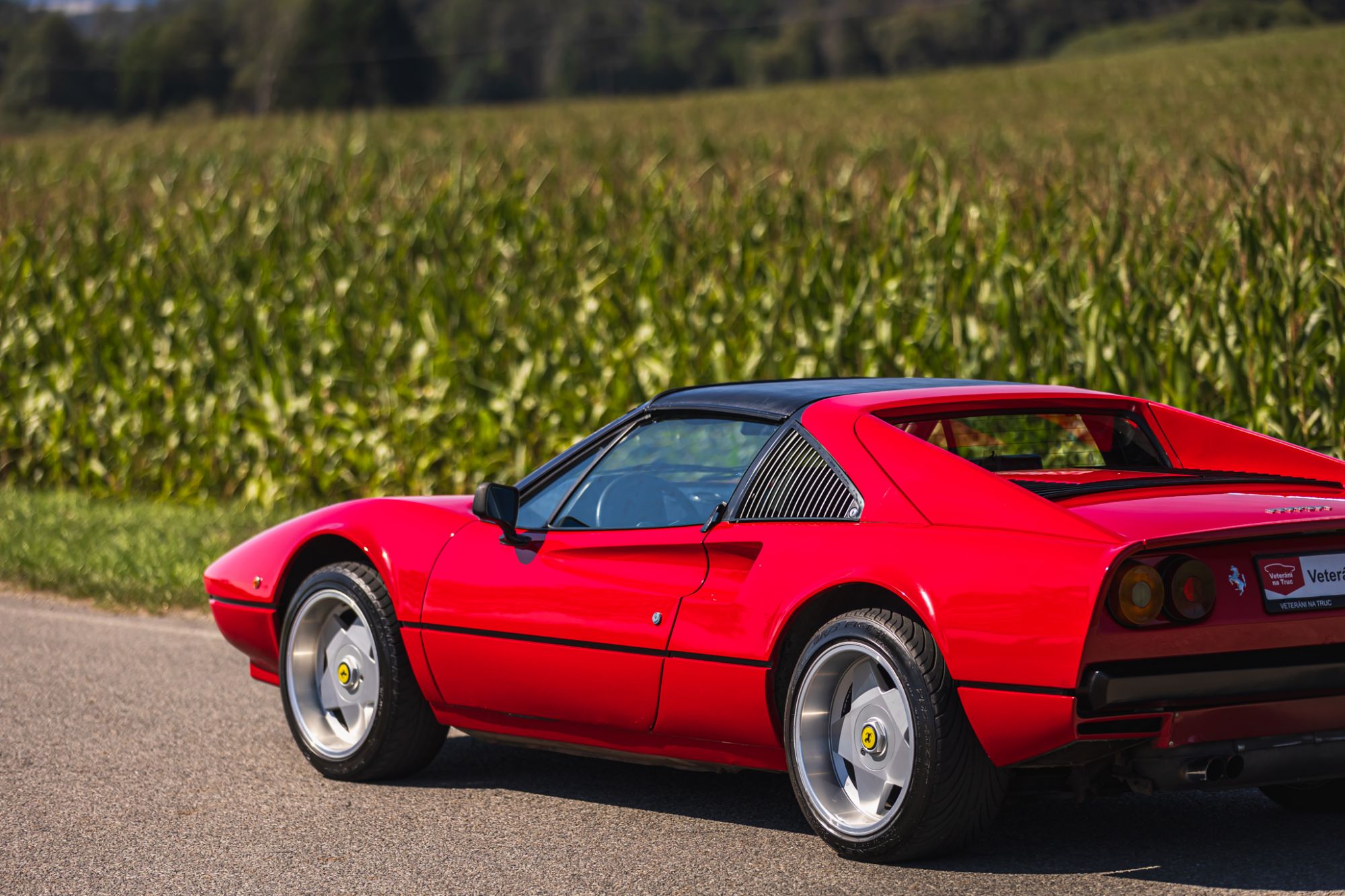 low_Ferrari 208 GTS_10.JPG