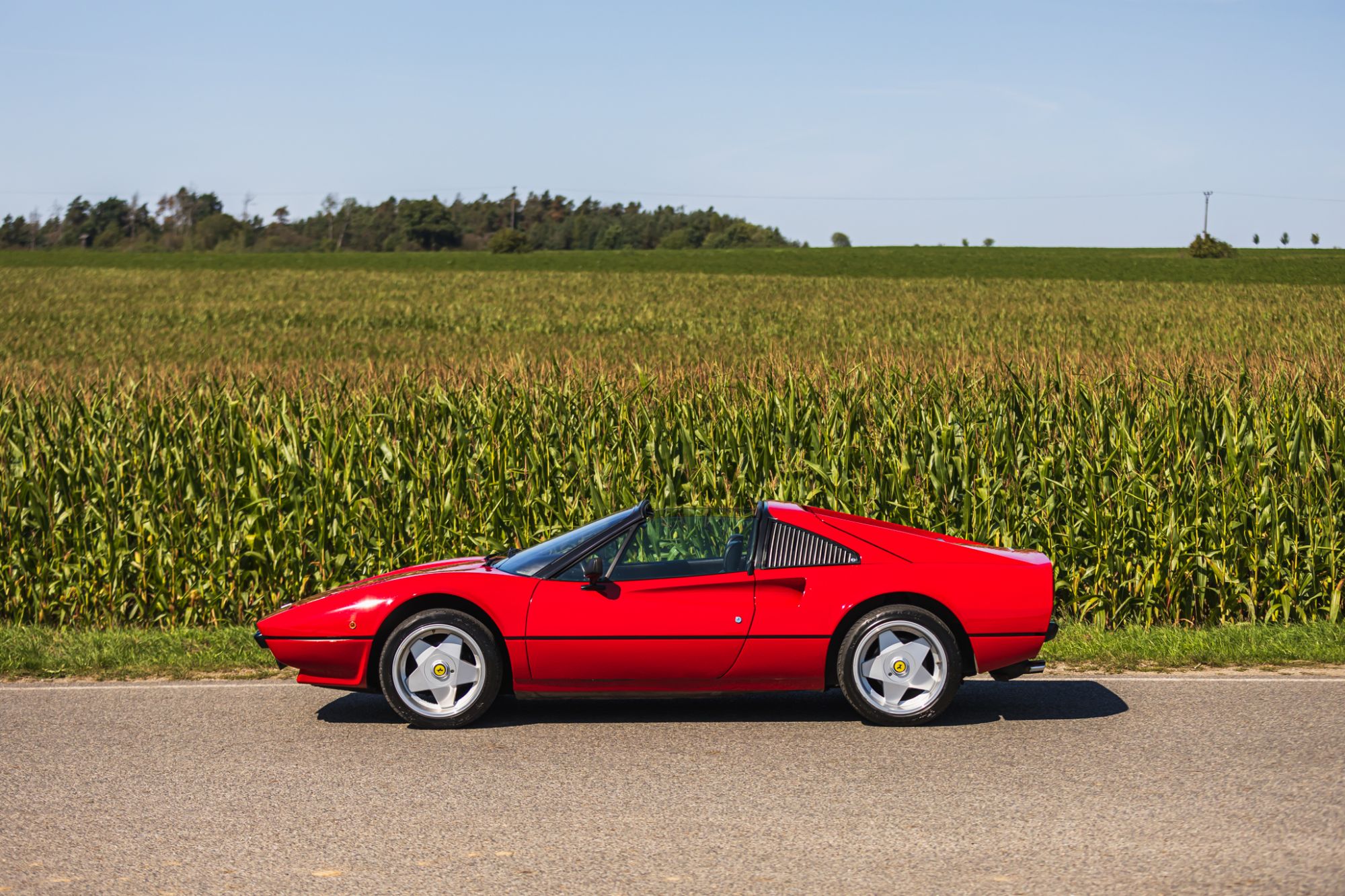low_Ferrari 208 GTS_23.JPG