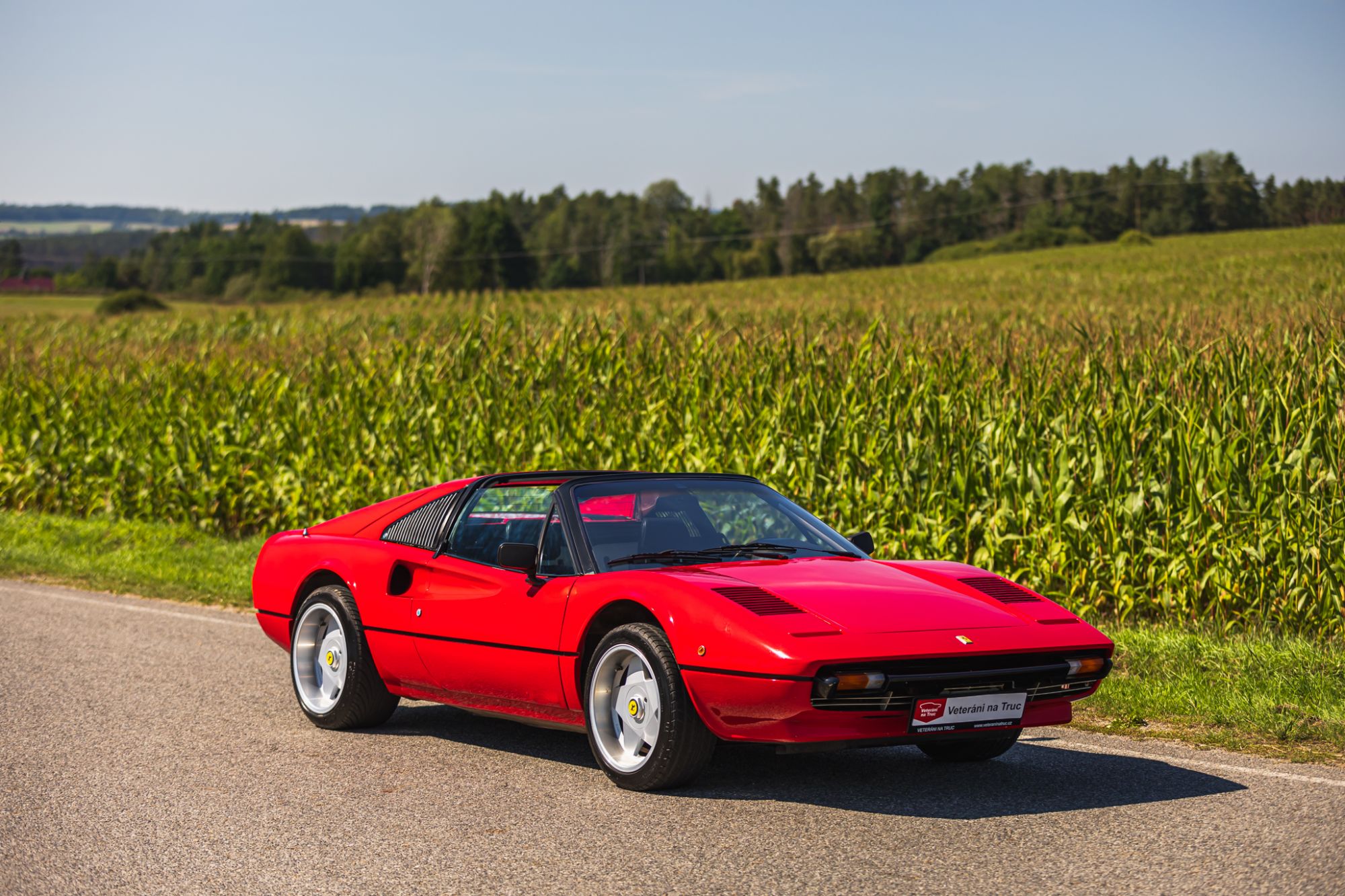 low_Ferrari 208 GTS_29.JPG