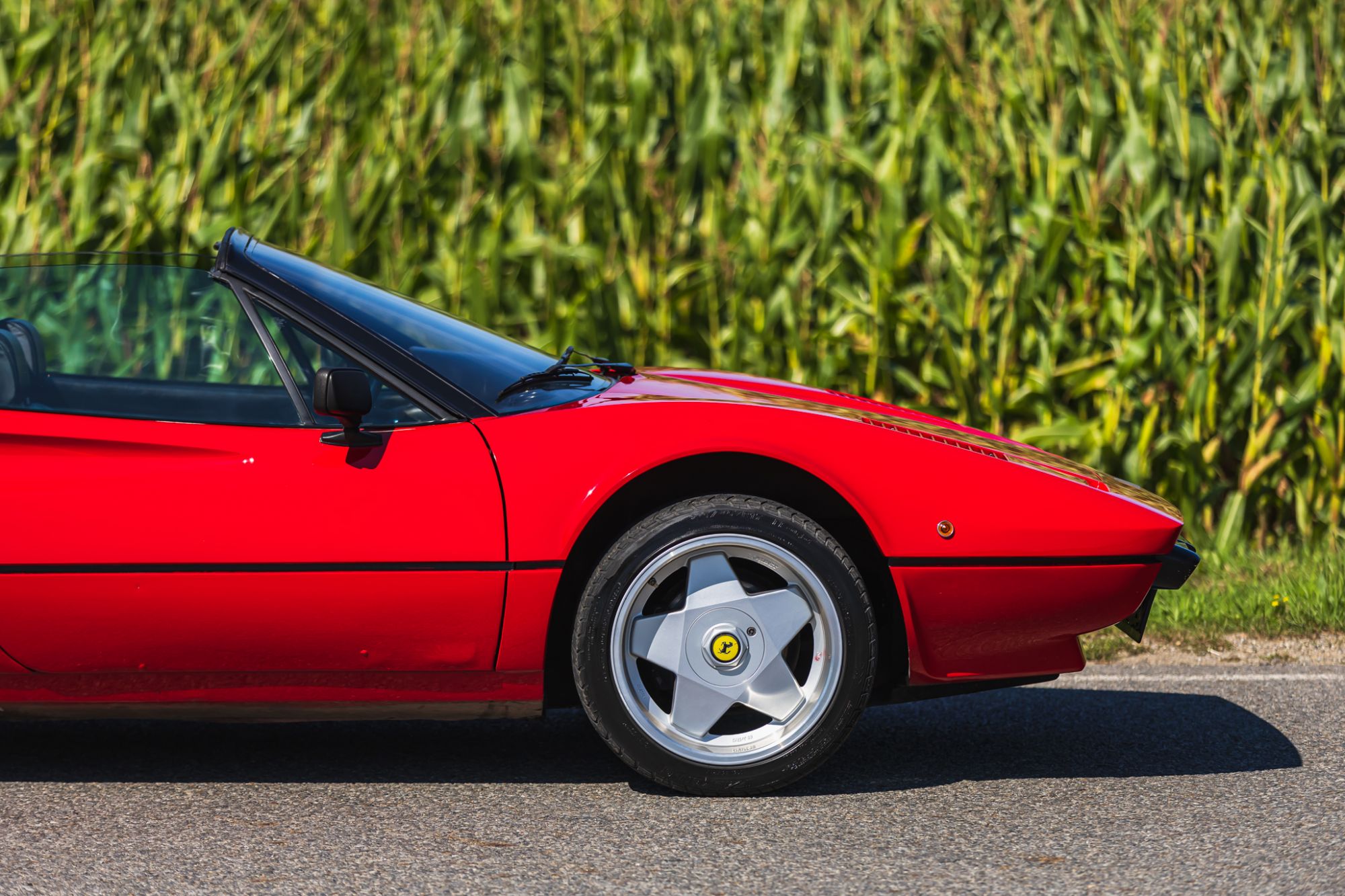 low_Ferrari 208 GTS_31.JPG