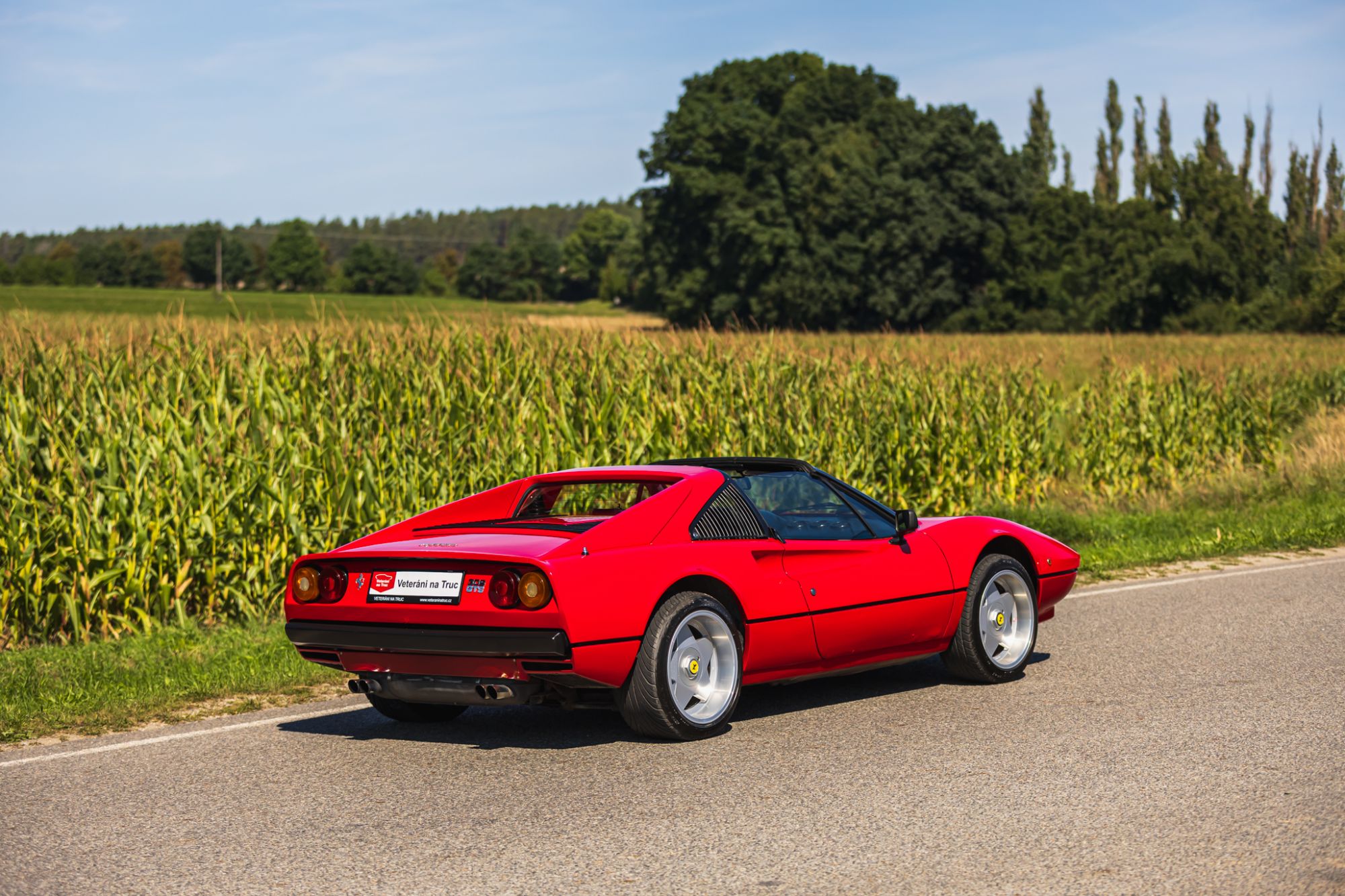 low_Ferrari 208 GTS_33.JPG