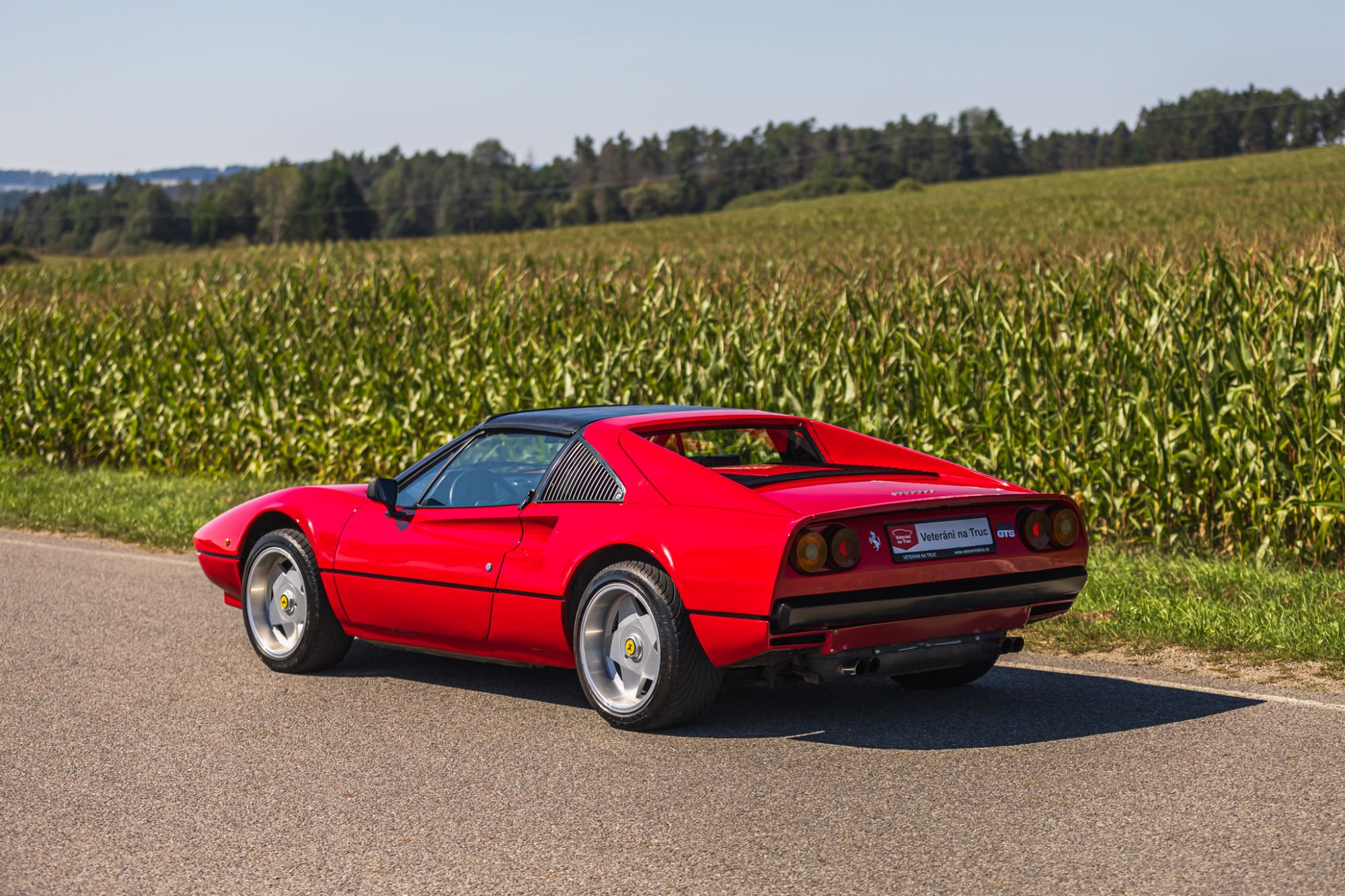 low_Ferrari 208 GTS_8.JPG
