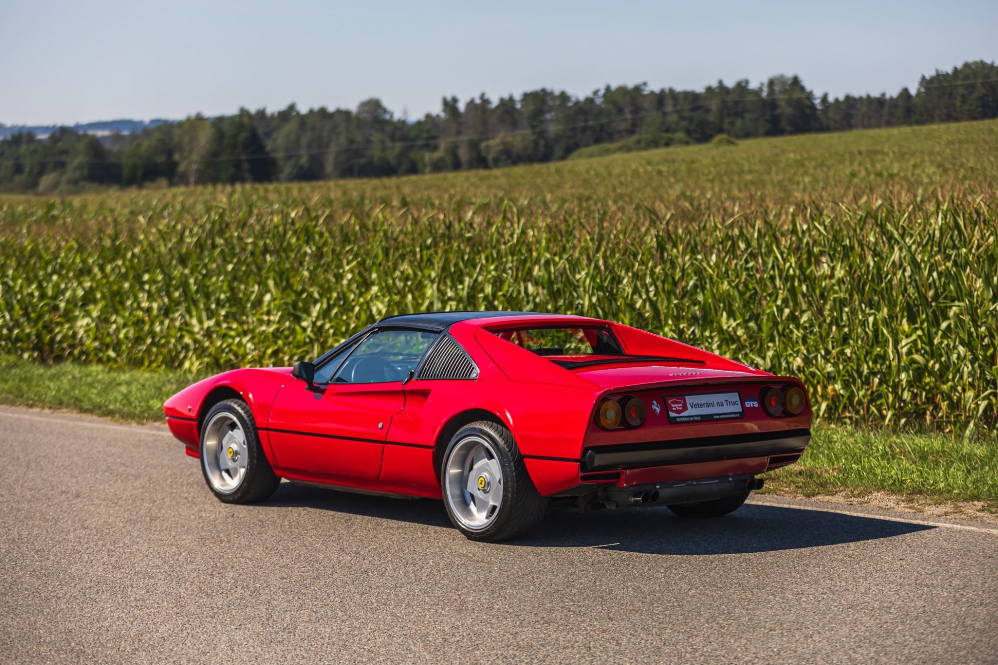 low_Ferrari 208 GTS_9.JPG