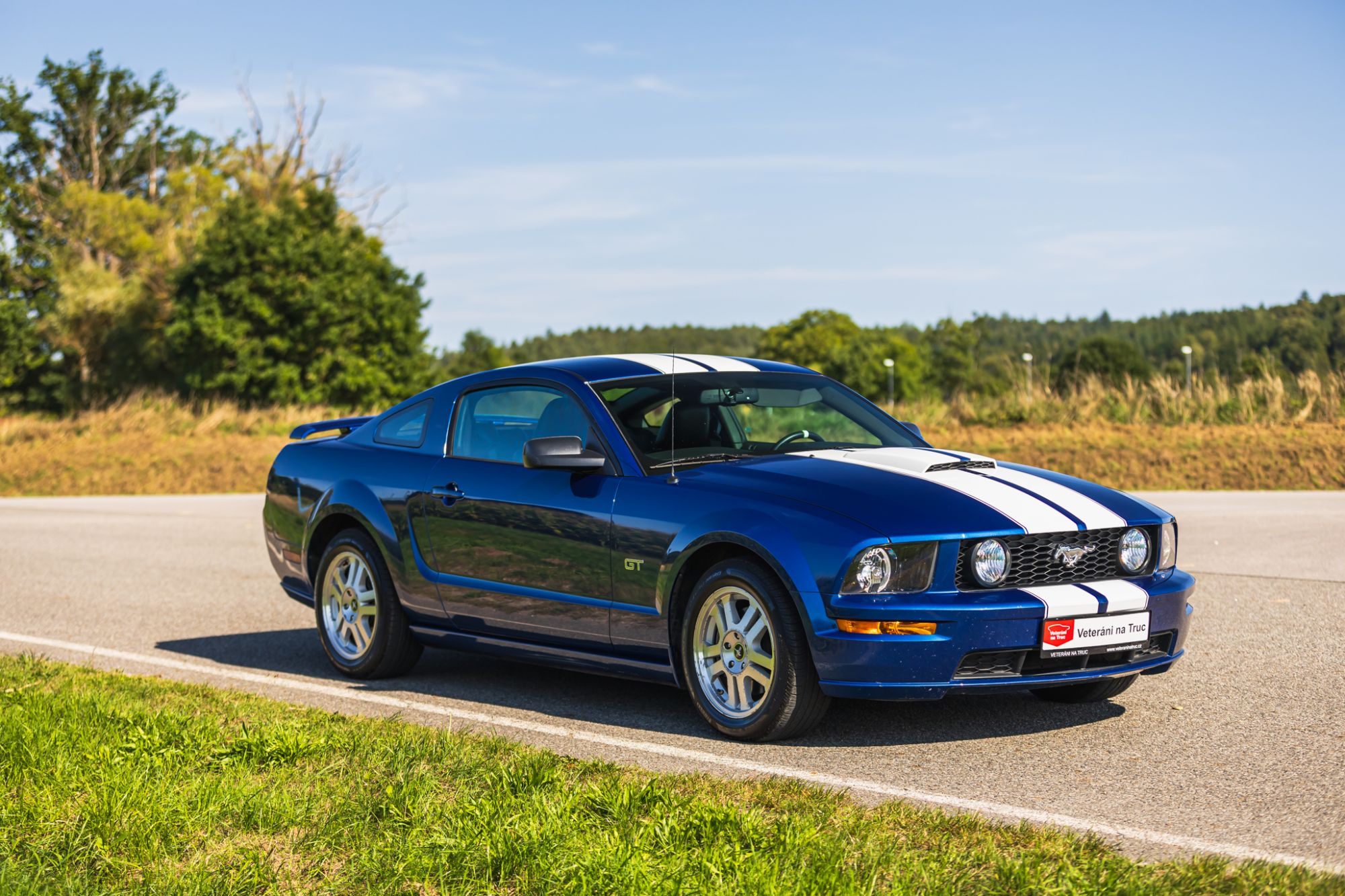 low_Ford Mustang GT_11.JPG