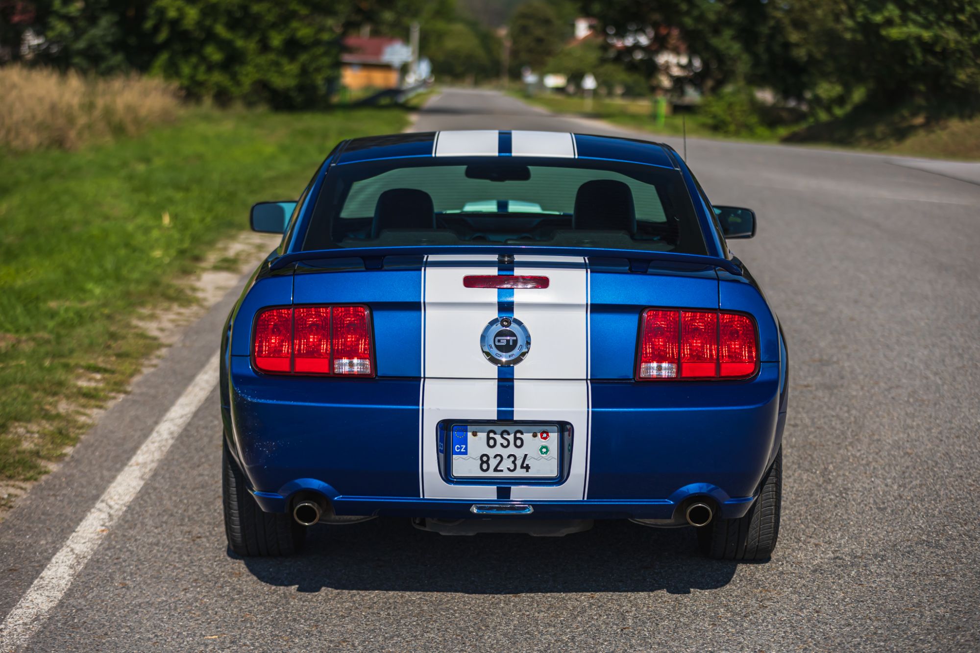 low_Ford Mustang GT_13.JPG