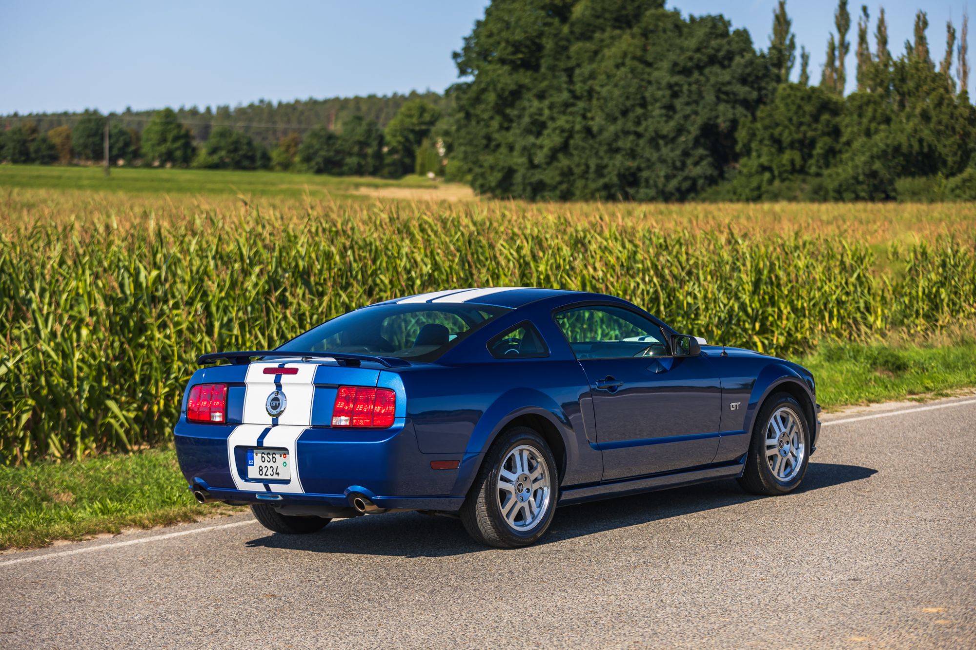 low_Ford Mustang GT_16.JPG