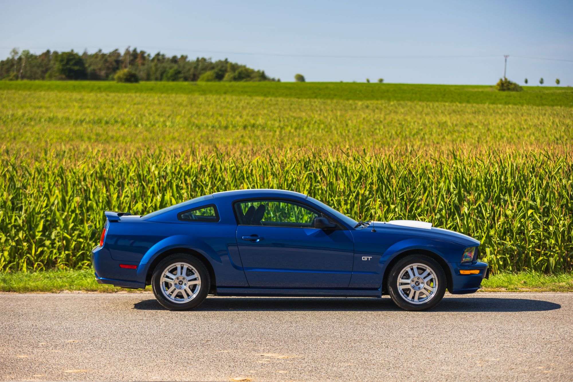low_Ford Mustang GT_17.JPG