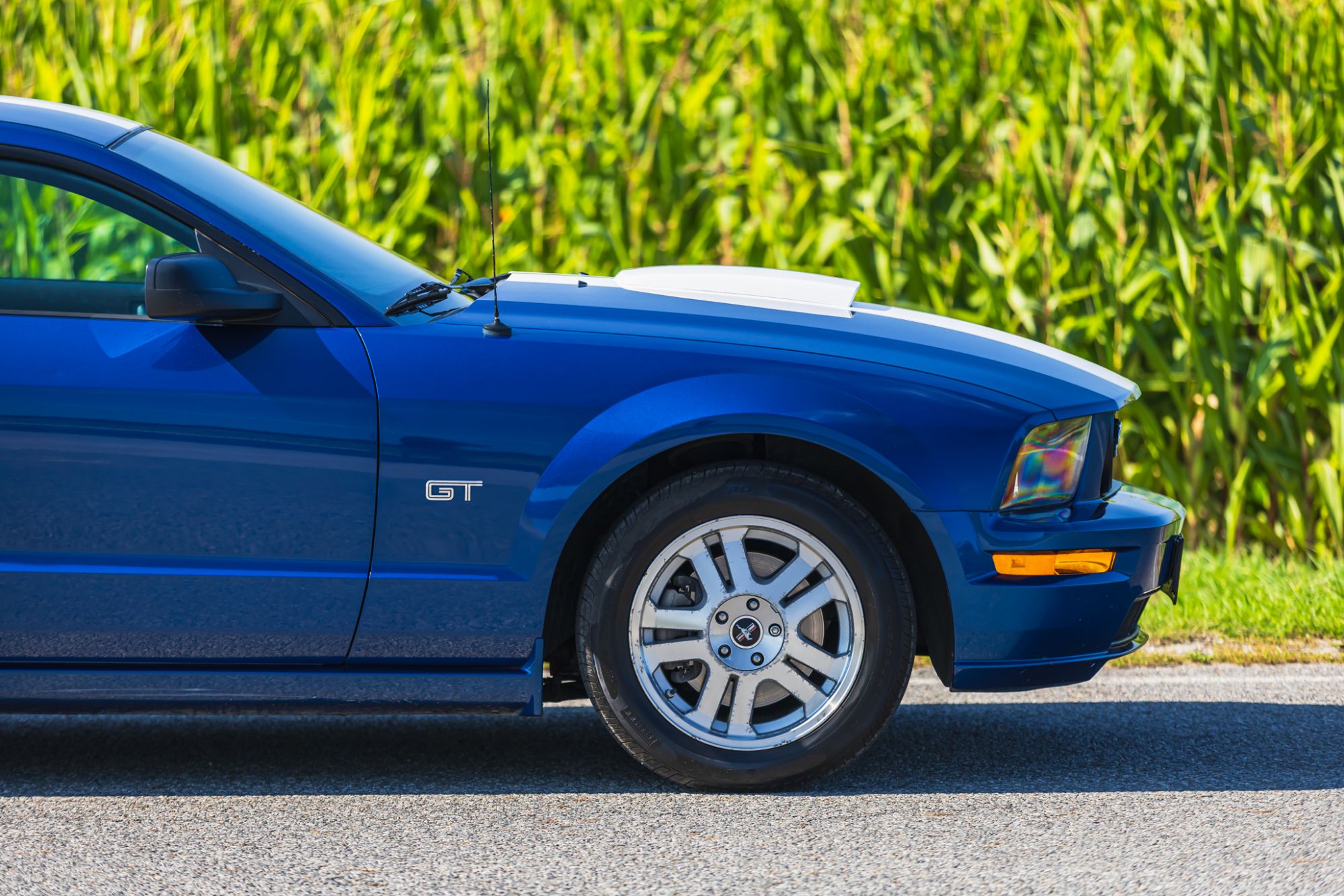 low_Ford Mustang GT_19.JPG