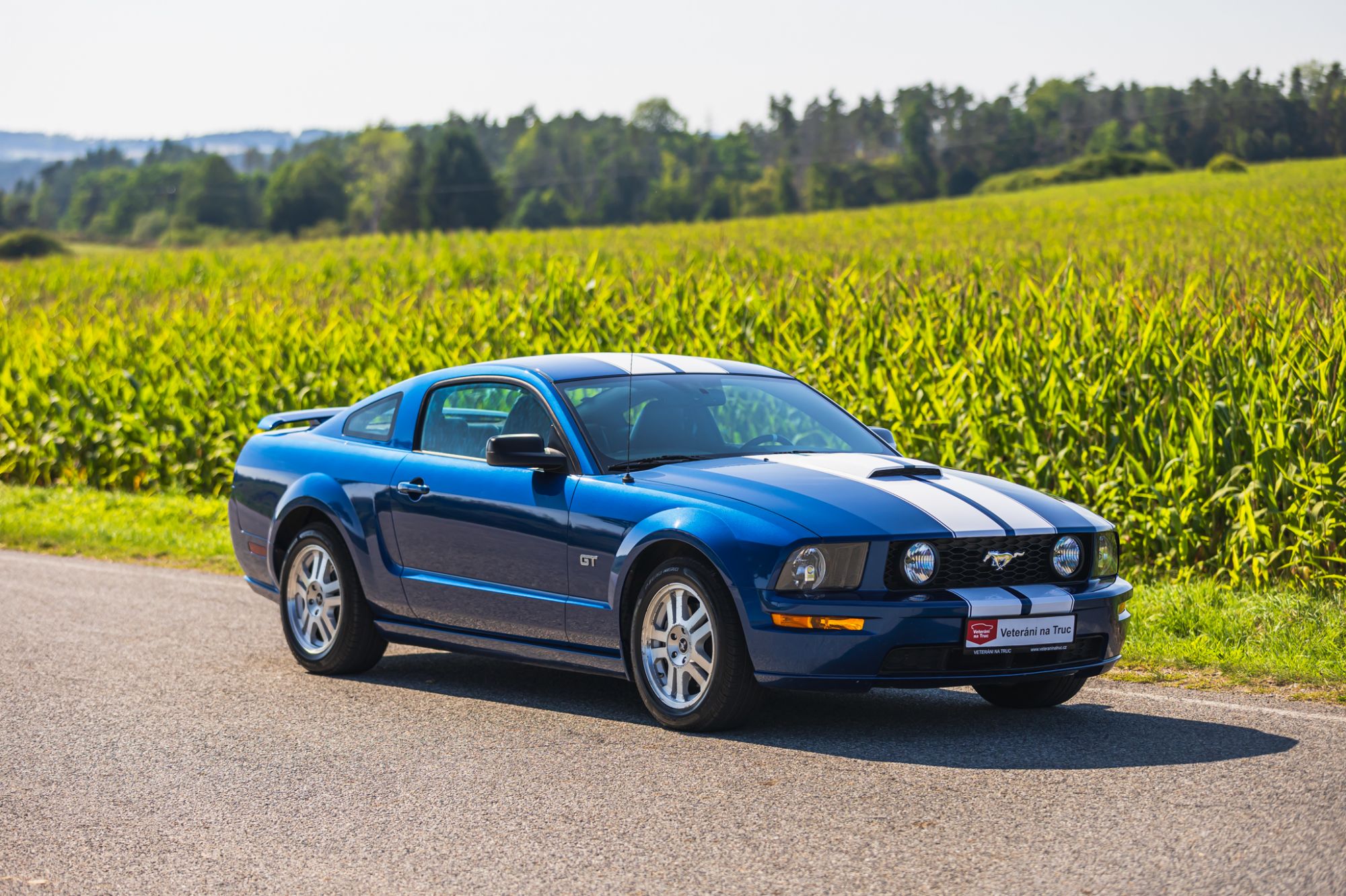 low_Ford Mustang GT_20.JPG