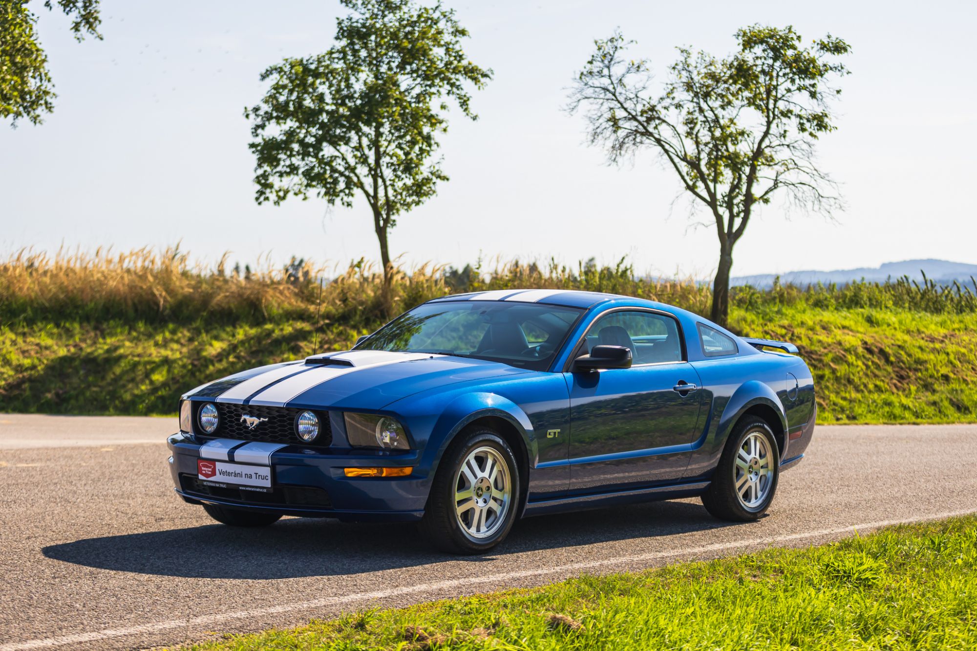 low_Ford Mustang GT_21.JPG