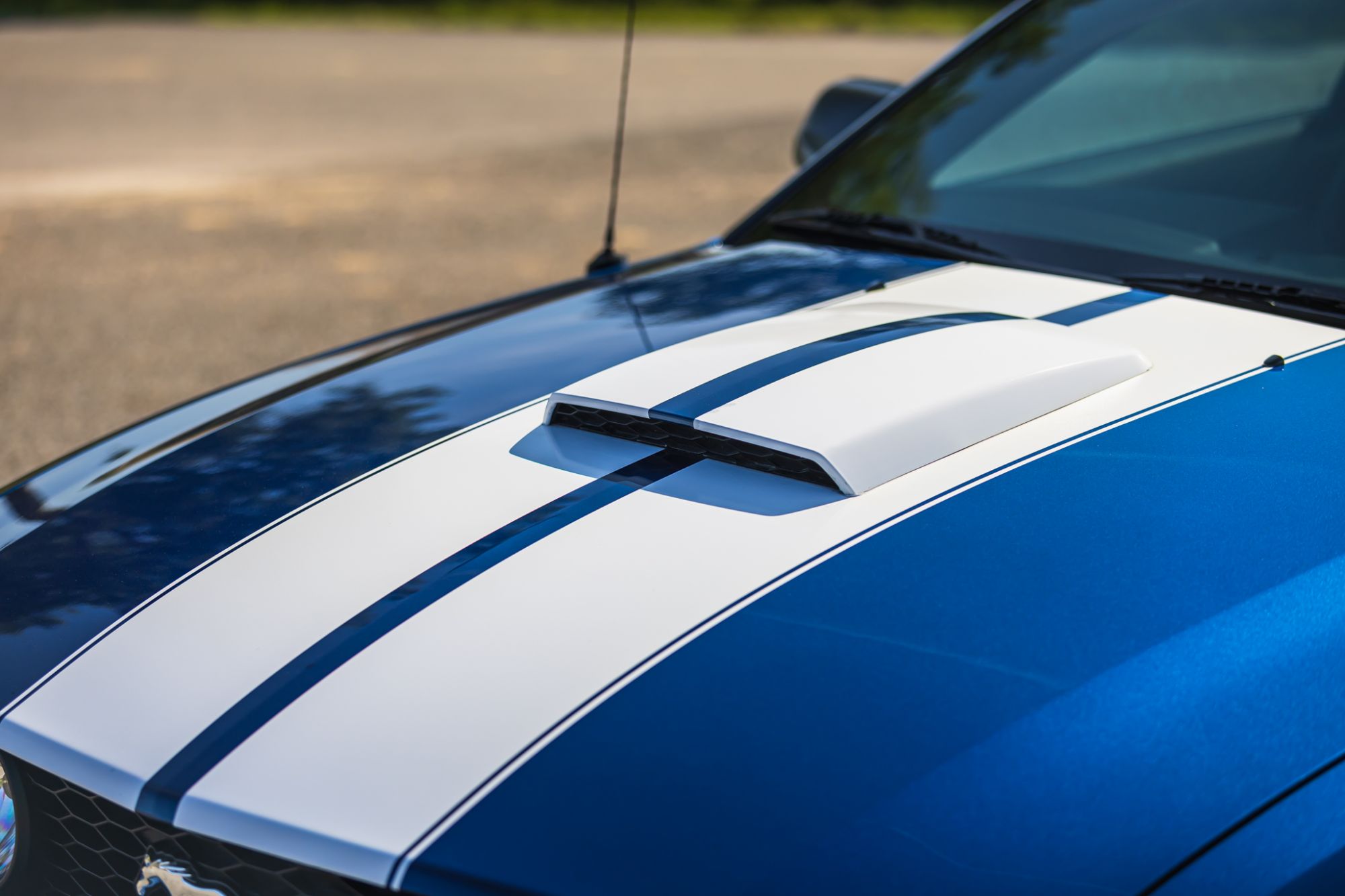 low_Ford Mustang GT_22.JPG