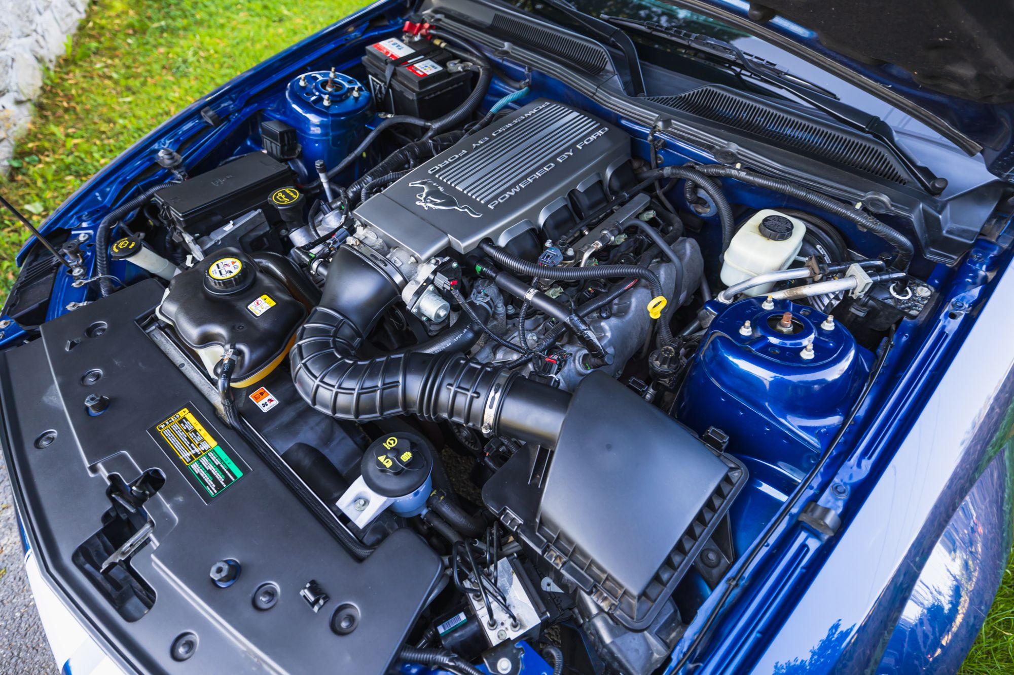 low_Ford Mustang GT_24.JPG