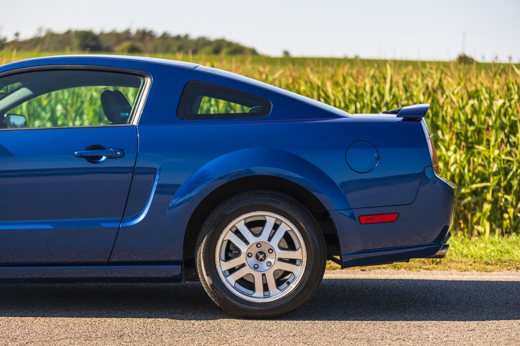 low_Ford Mustang GT_4.JPG