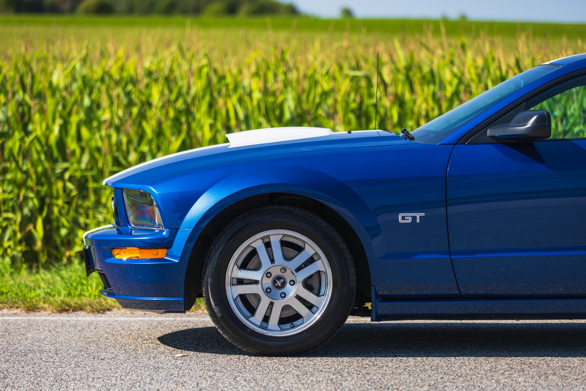 low_Ford Mustang GT_7.JPG