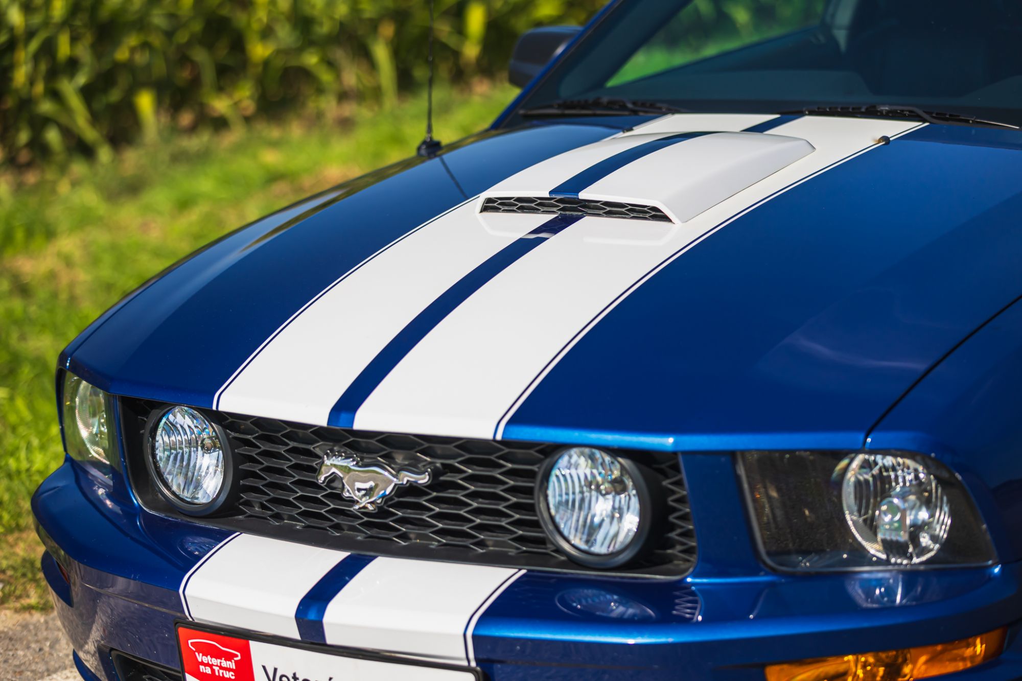 low_Ford Mustang GT_9.JPG