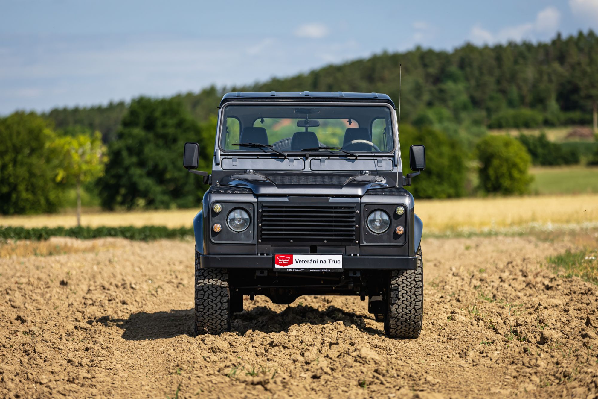 LOW Land Rover 90_69.JPG