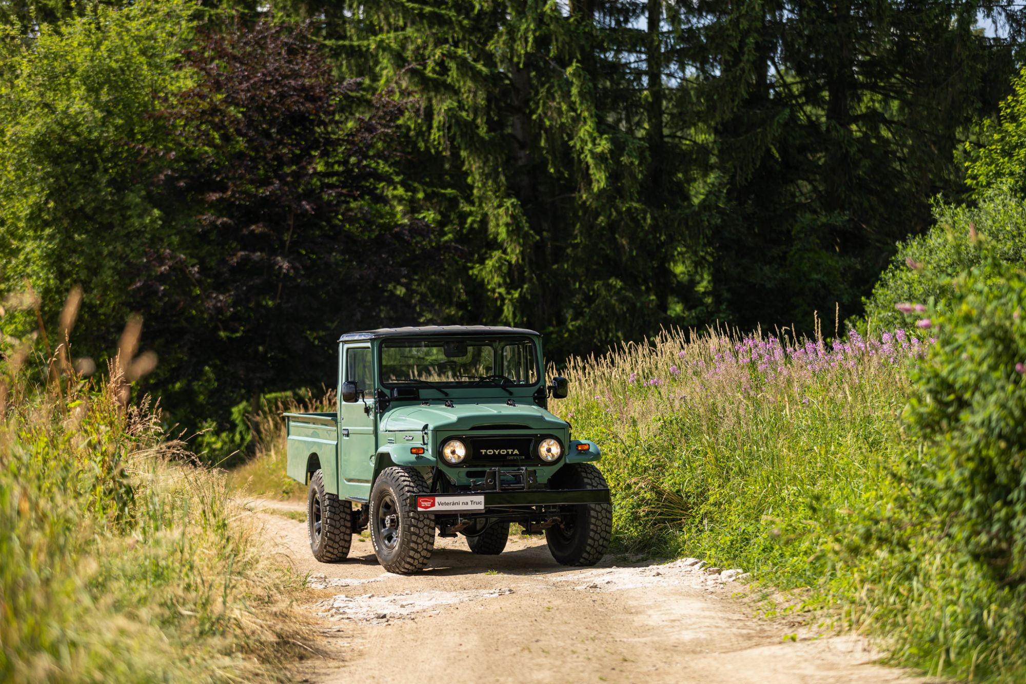 low Toyota LandCruiser pickup_50.JPG
