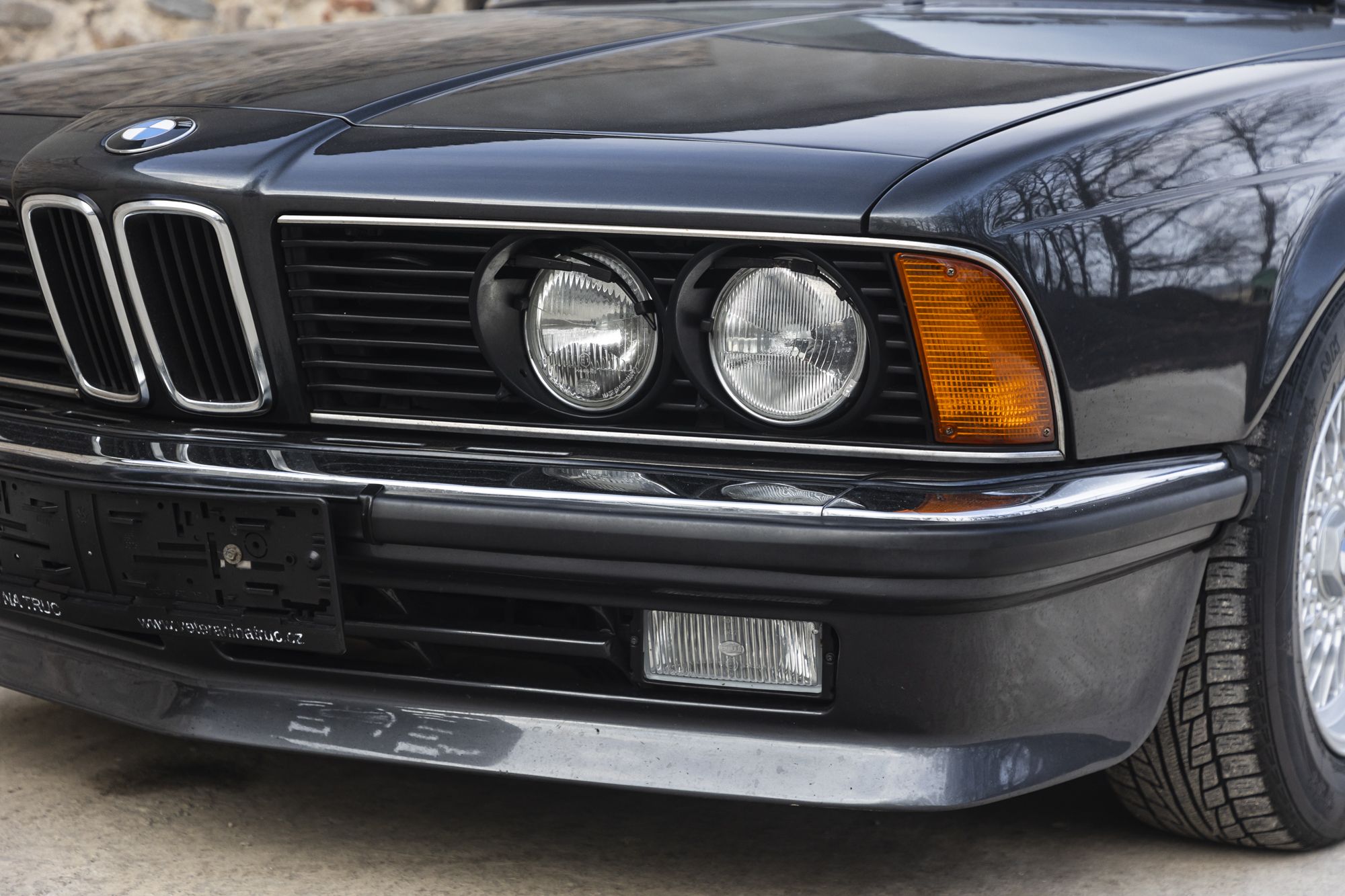 male BMW 635CSi_20