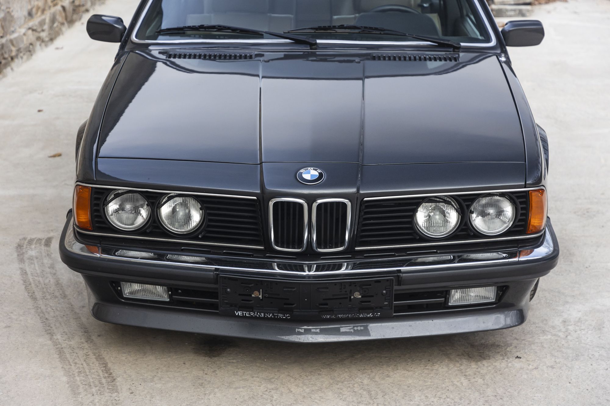 male BMW 635CSi_22