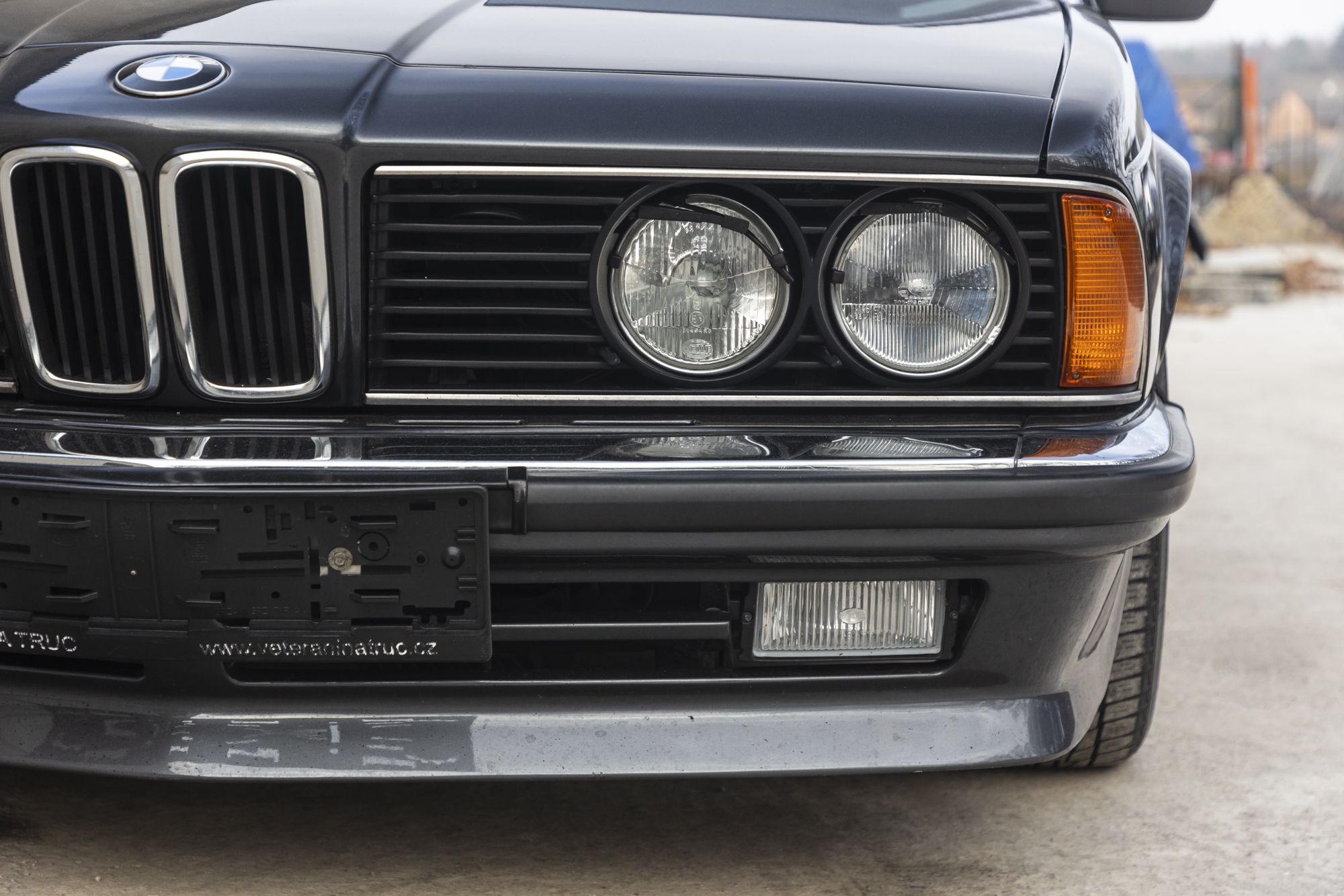 male BMW 635CSi_23