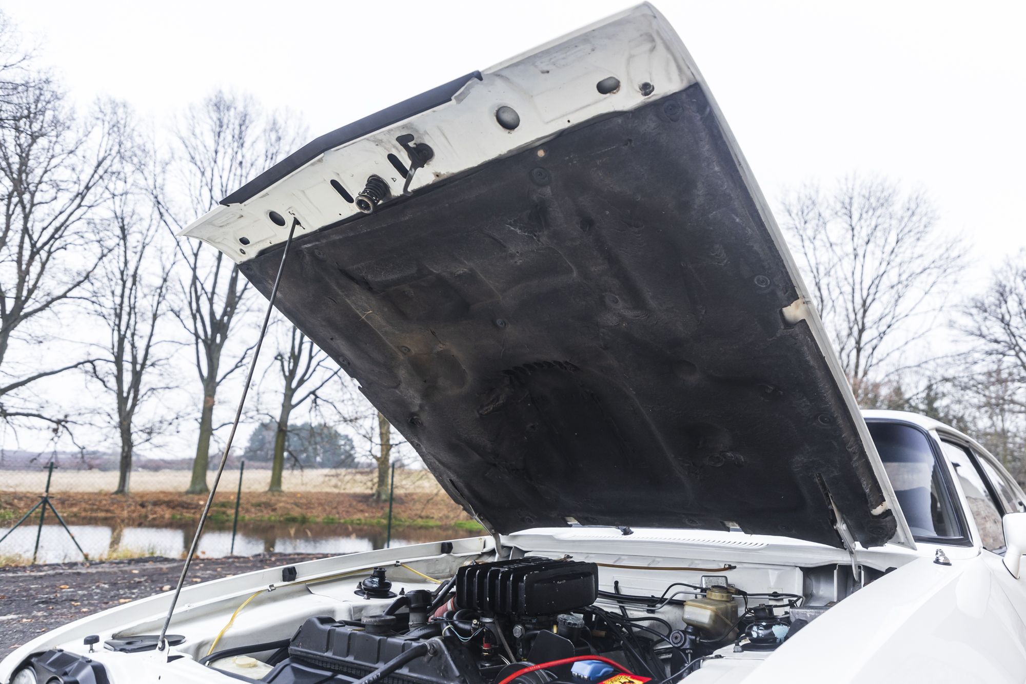 male Ford Capri Turbo_37