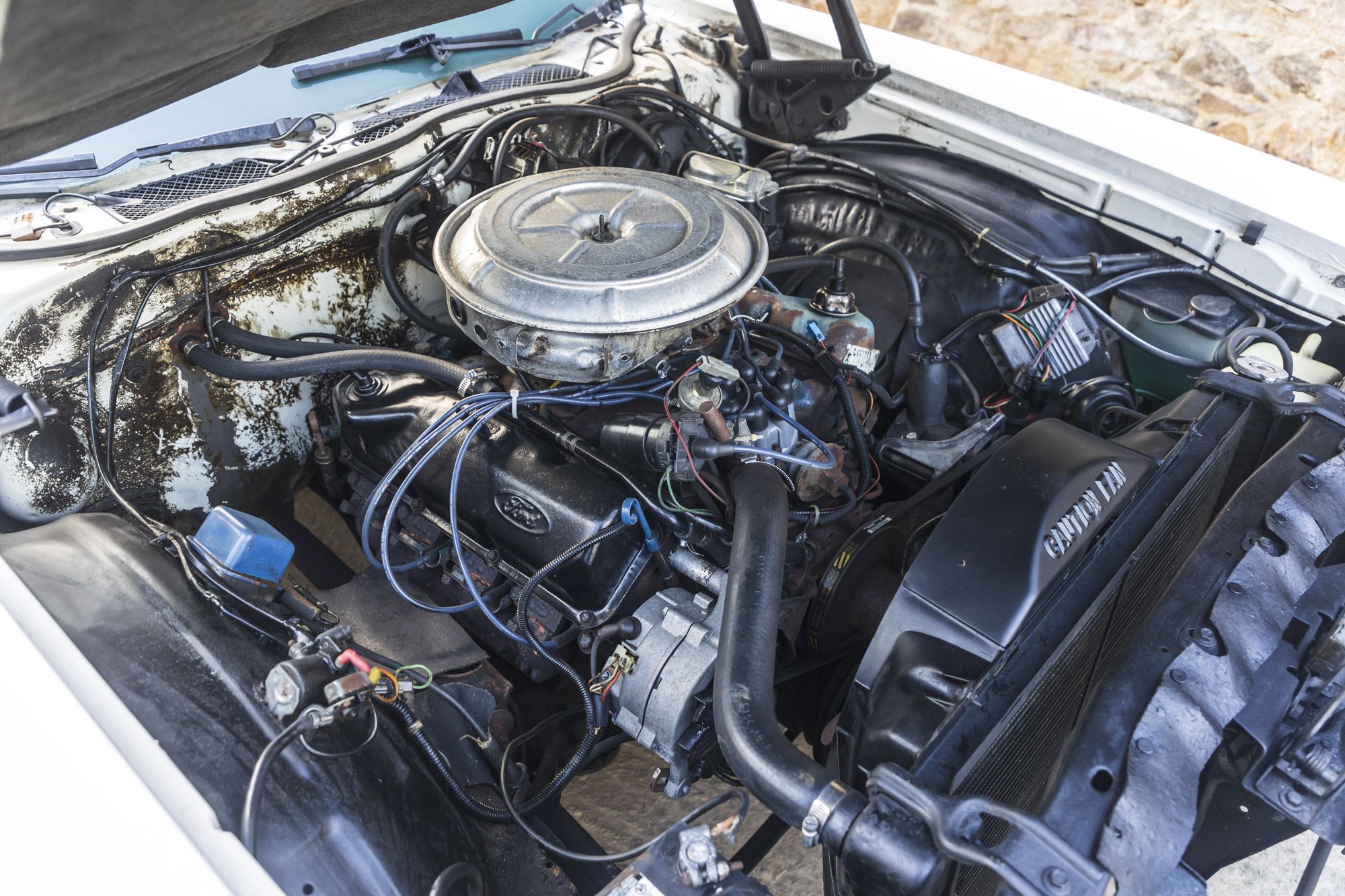 male Ford TunderBird_1