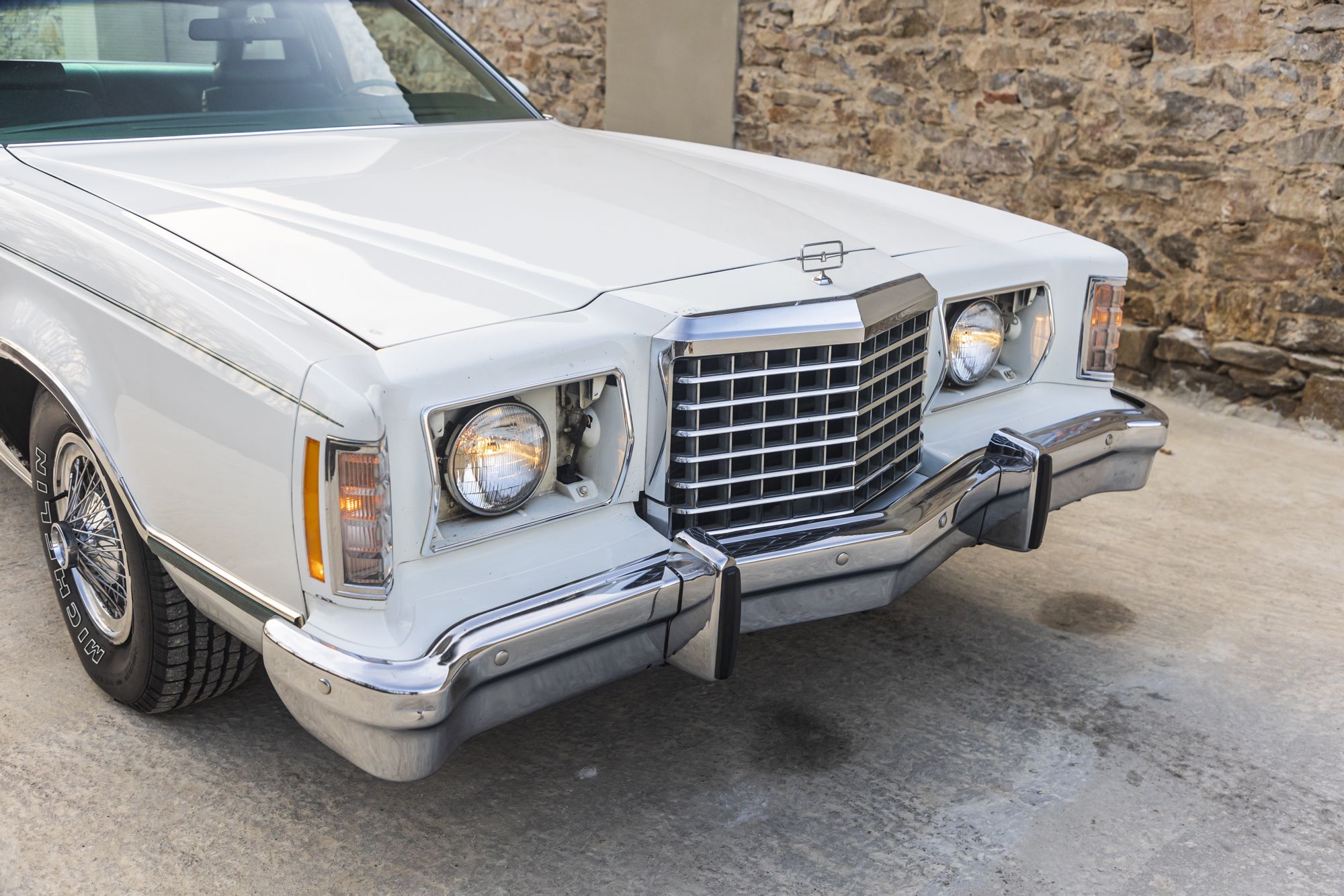 male Ford TunderBird_12