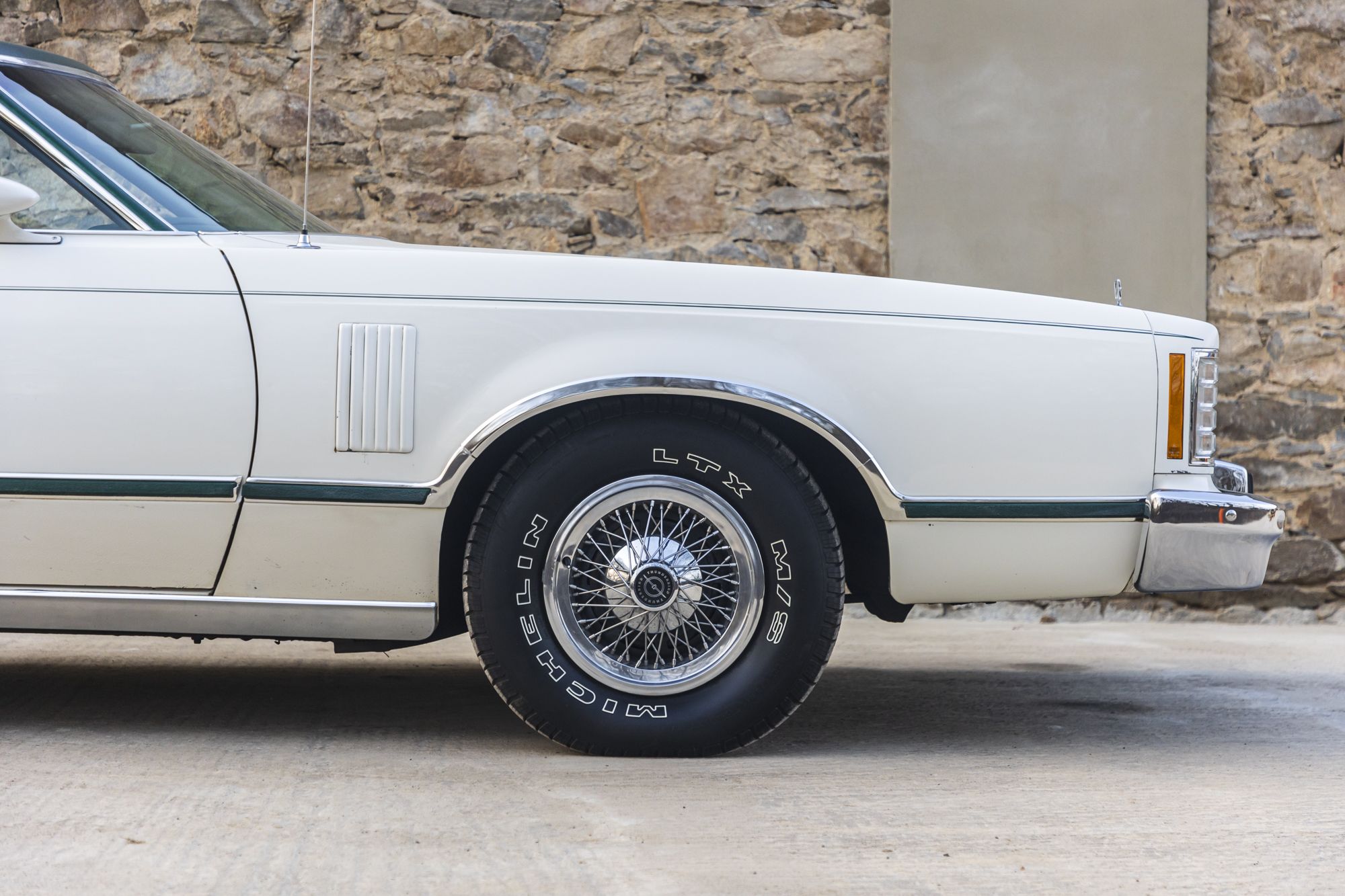 male Ford TunderBird_15