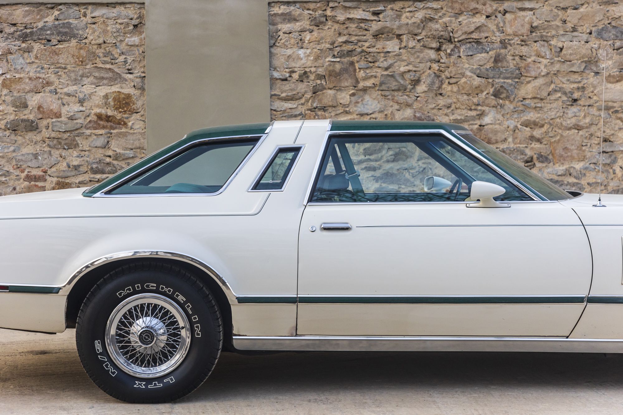 male Ford TunderBird_16