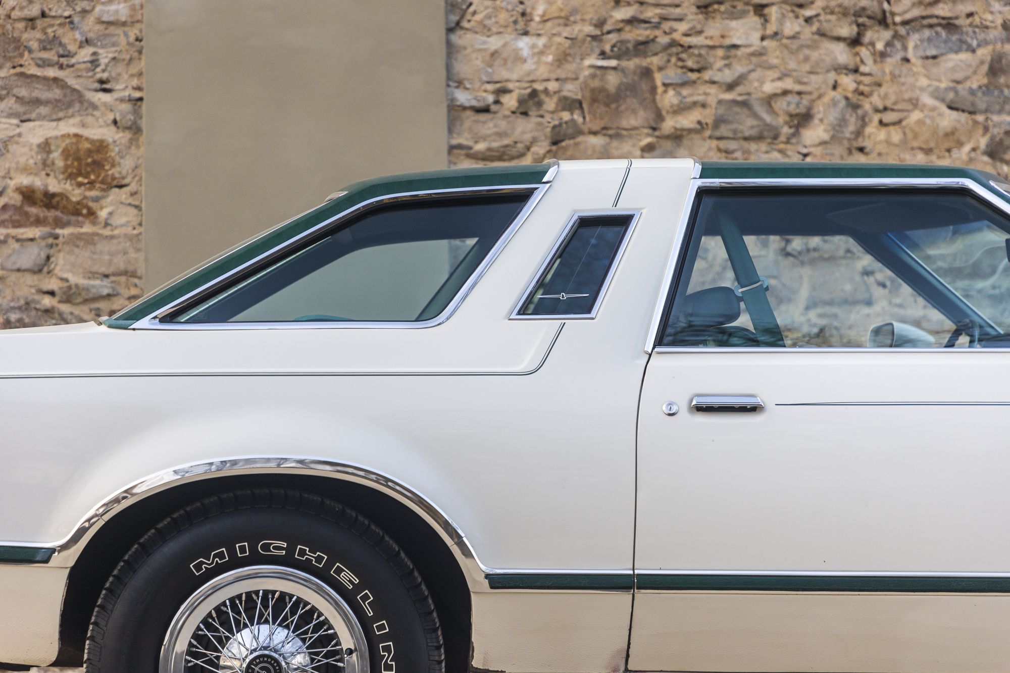 male Ford TunderBird_18