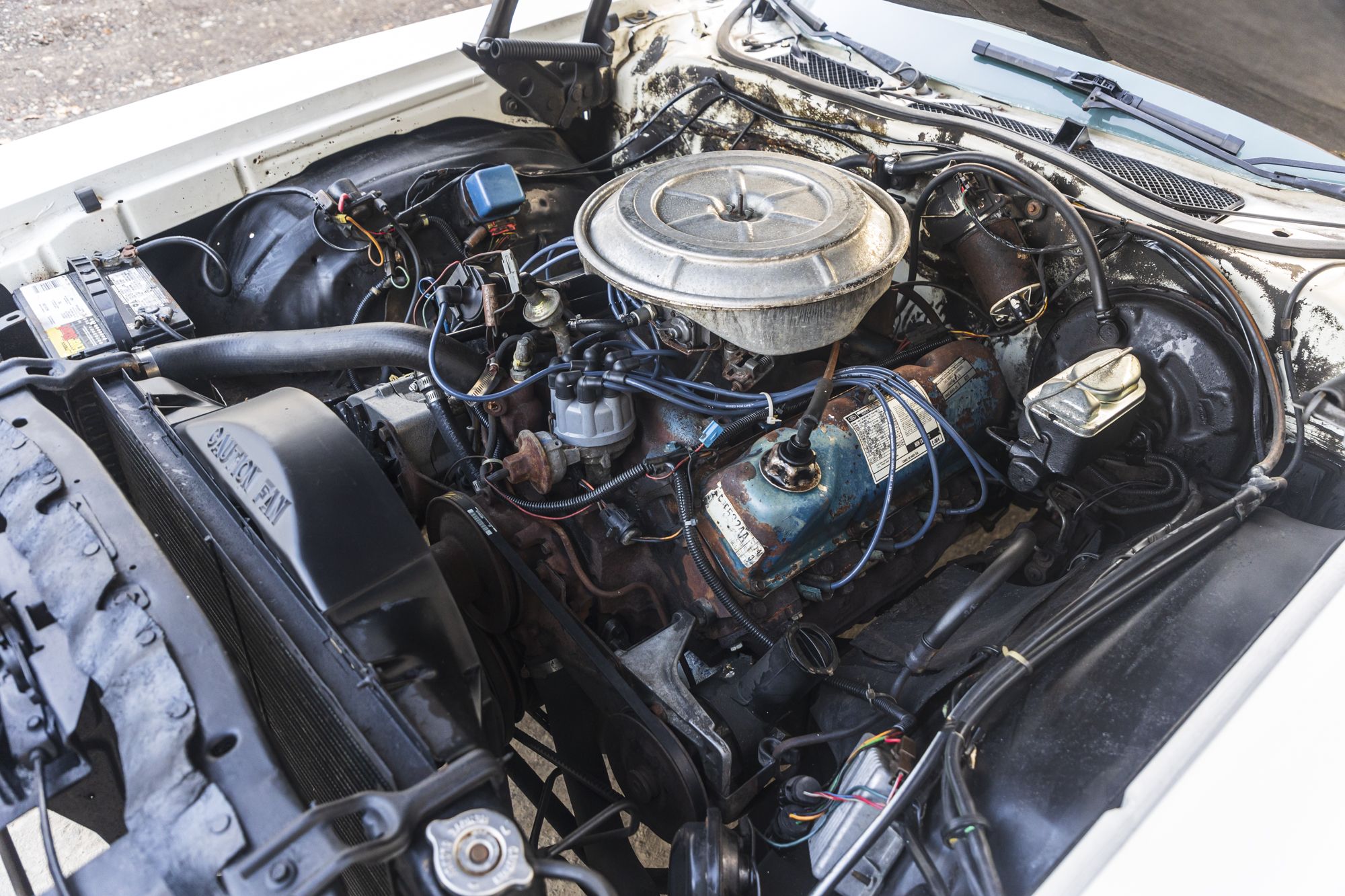 male Ford TunderBird_2