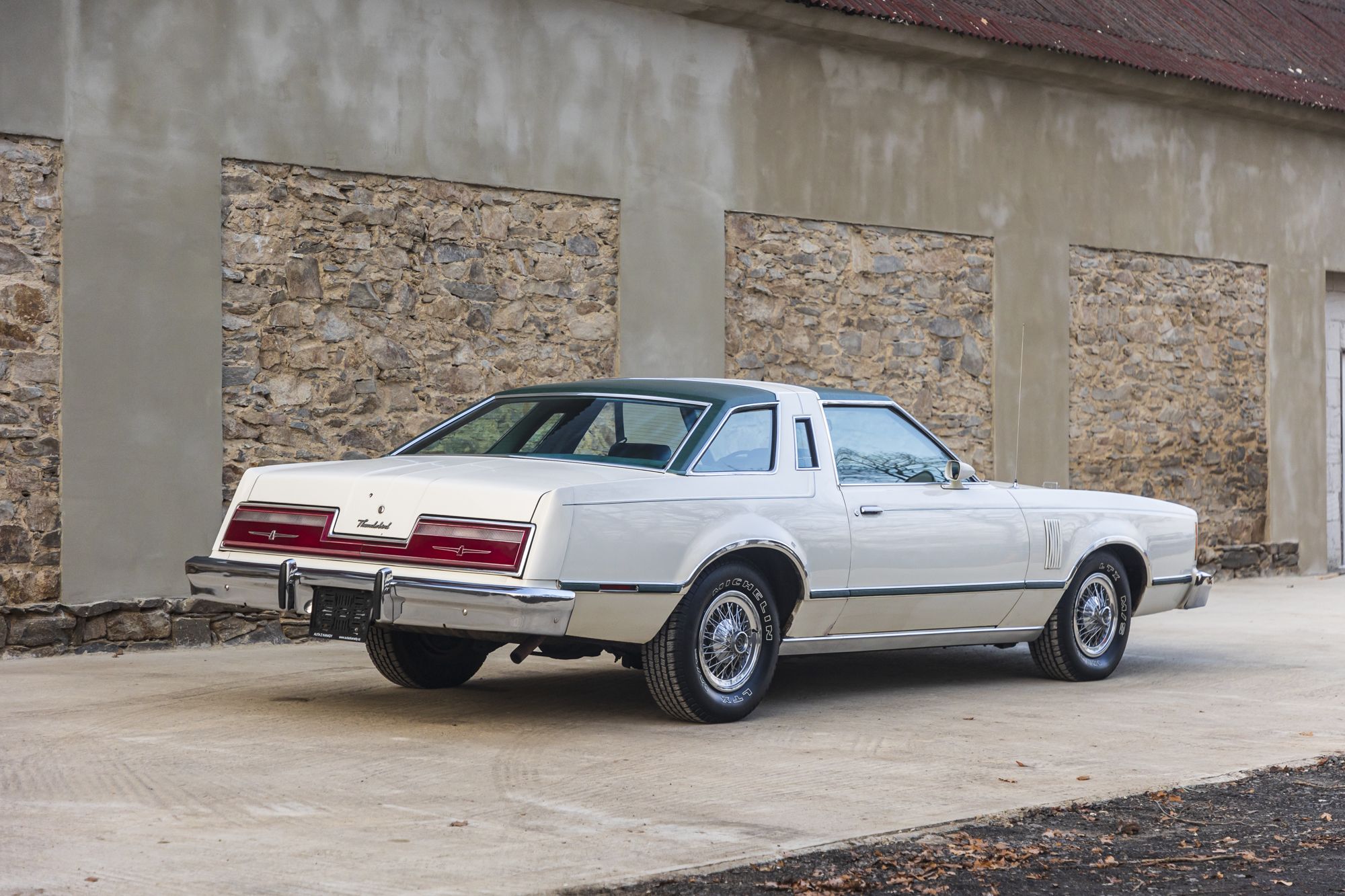 male Ford TunderBird_20