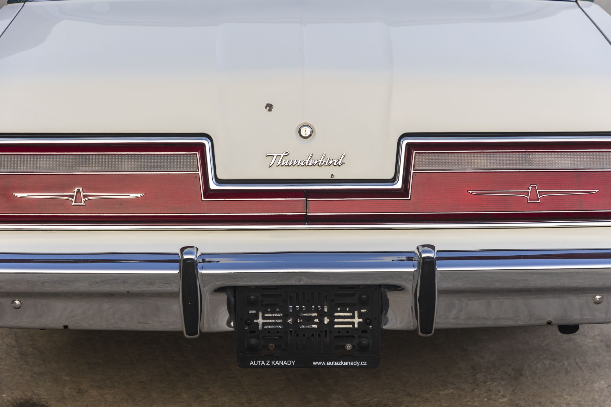 male Ford TunderBird_23