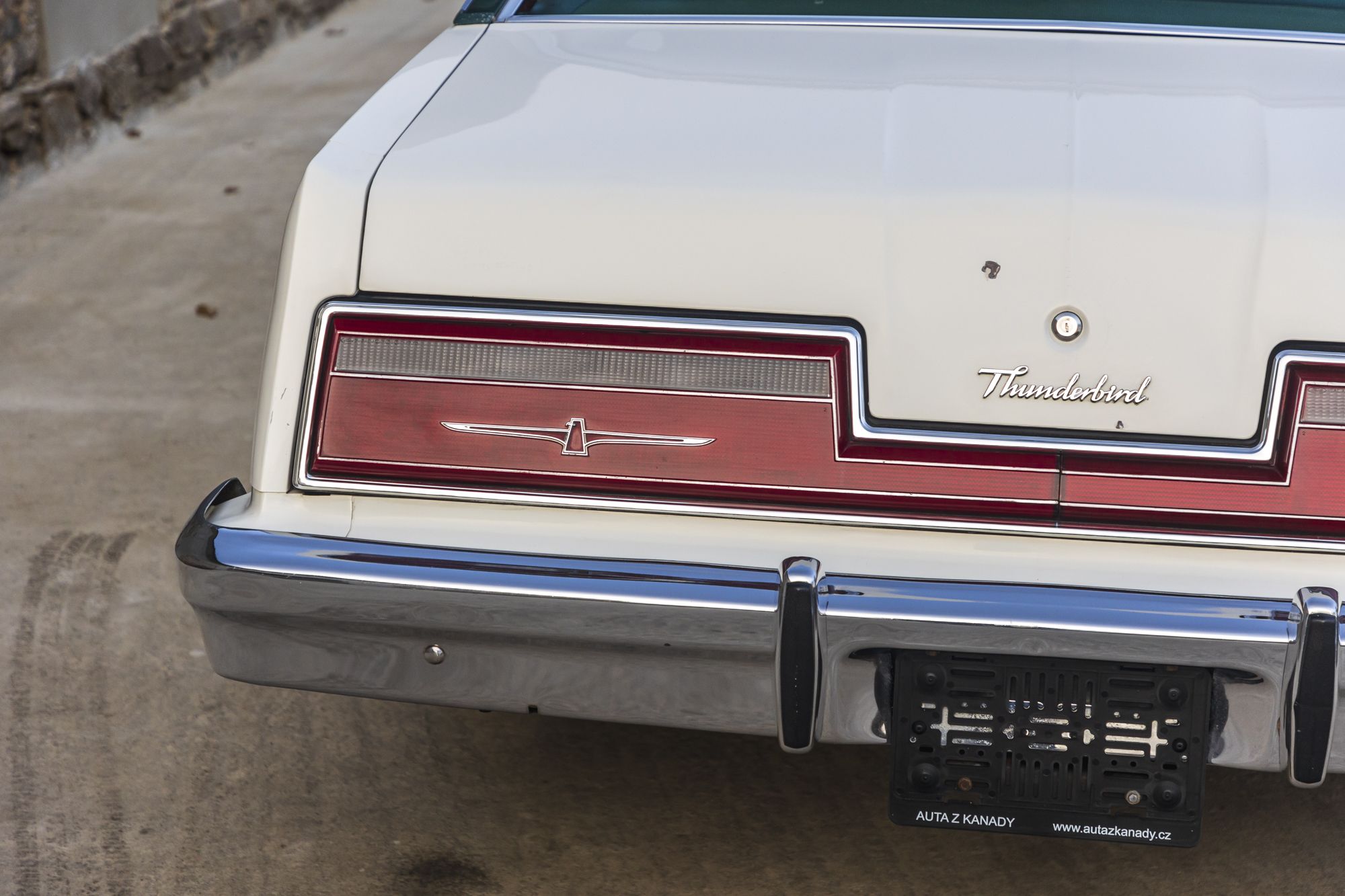 male Ford TunderBird_24