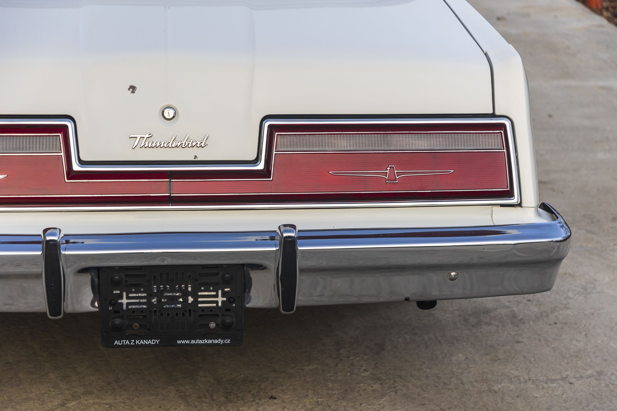 male Ford TunderBird_25