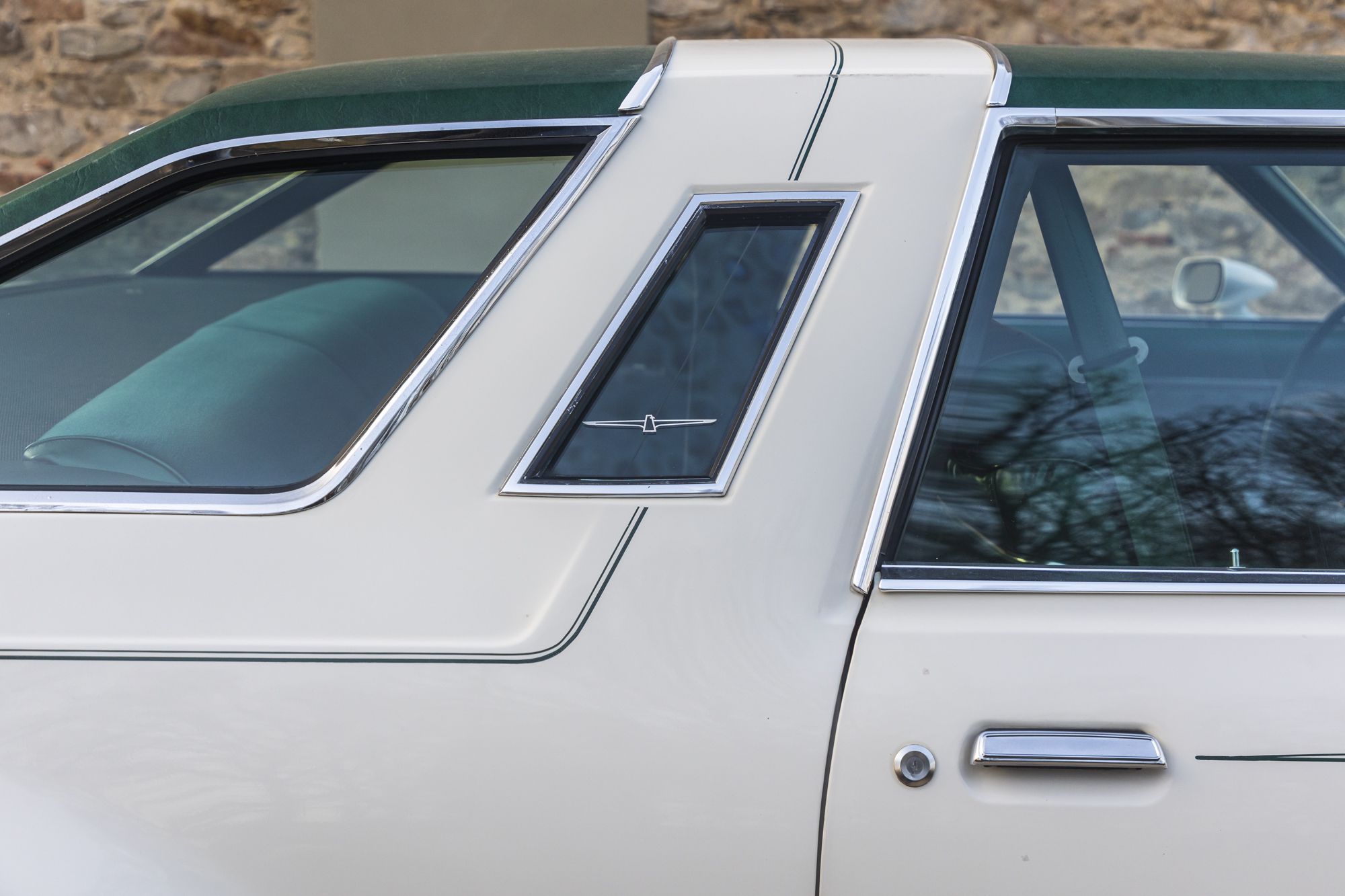 male Ford TunderBird_26